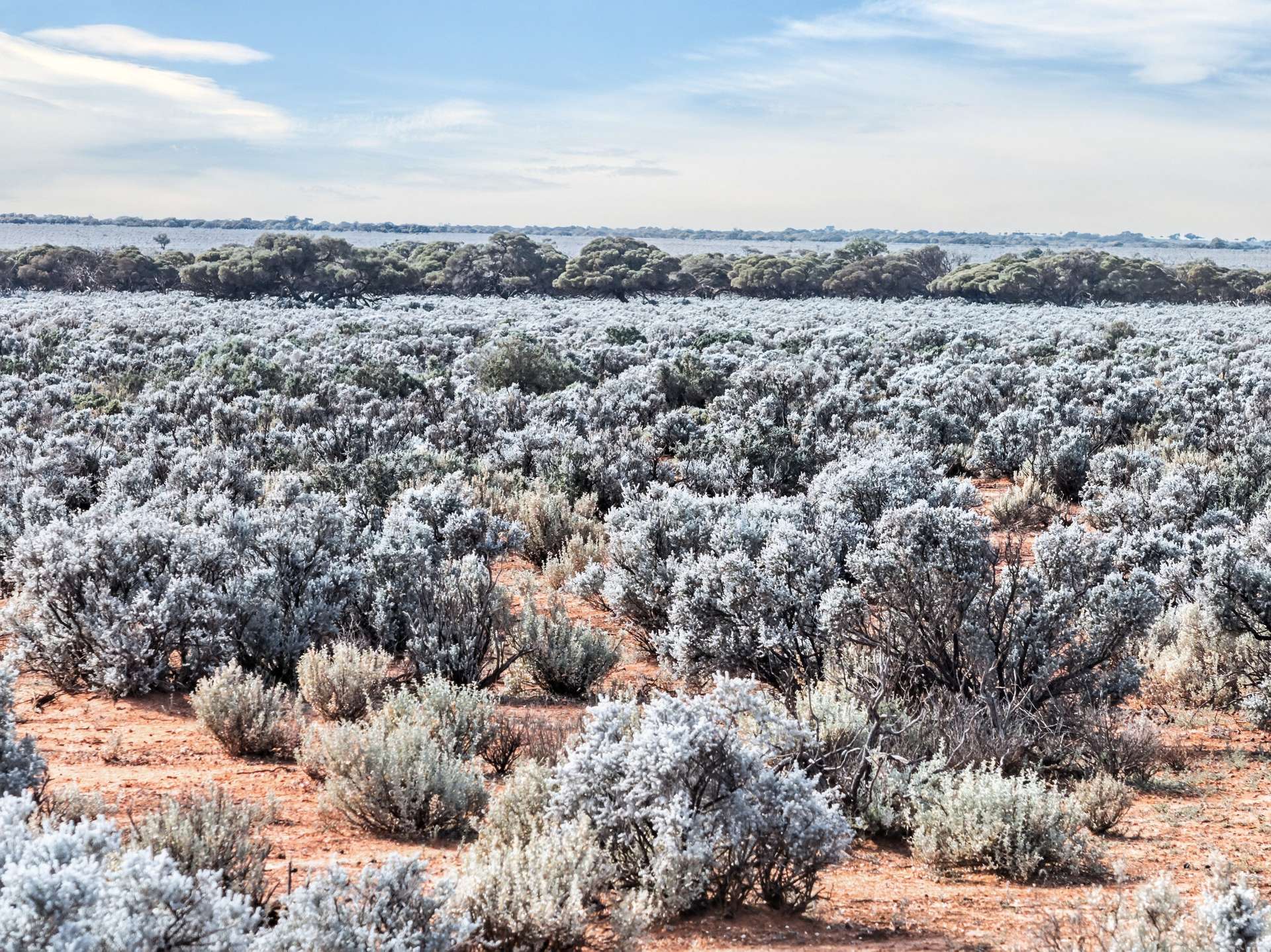Gilles Downs Station Eyre Highway, Iron Knob For Sale by Farmbuy.com - image 1