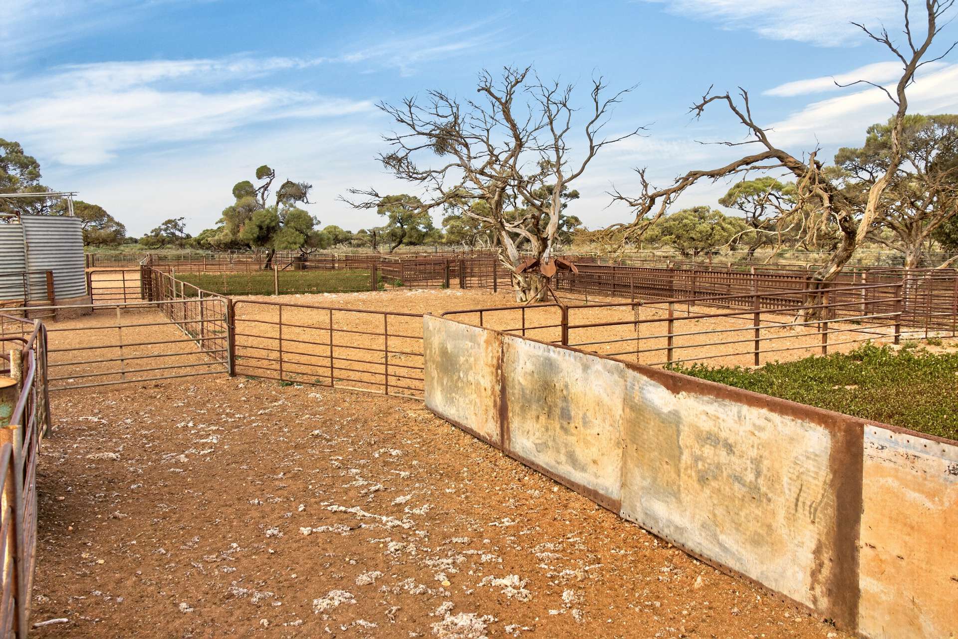 Gilles Downs Station Eyre Highway, Iron Knob For Sale by Farmbuy.com - image 18