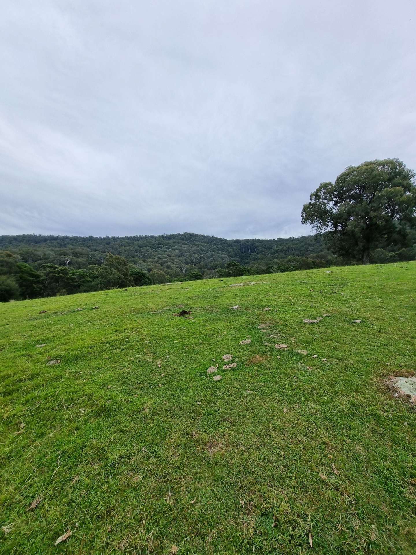 351 Mia Mia Road, Merrijig For Sale by Farmbuy.com - image 32