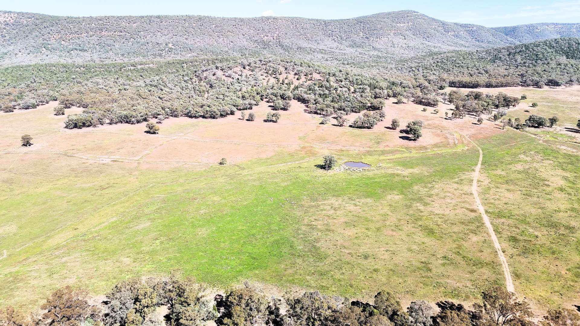 Lots 68 & 69 Stock Route Road, Grenfell For Sale by Farmbuy.com - image 3