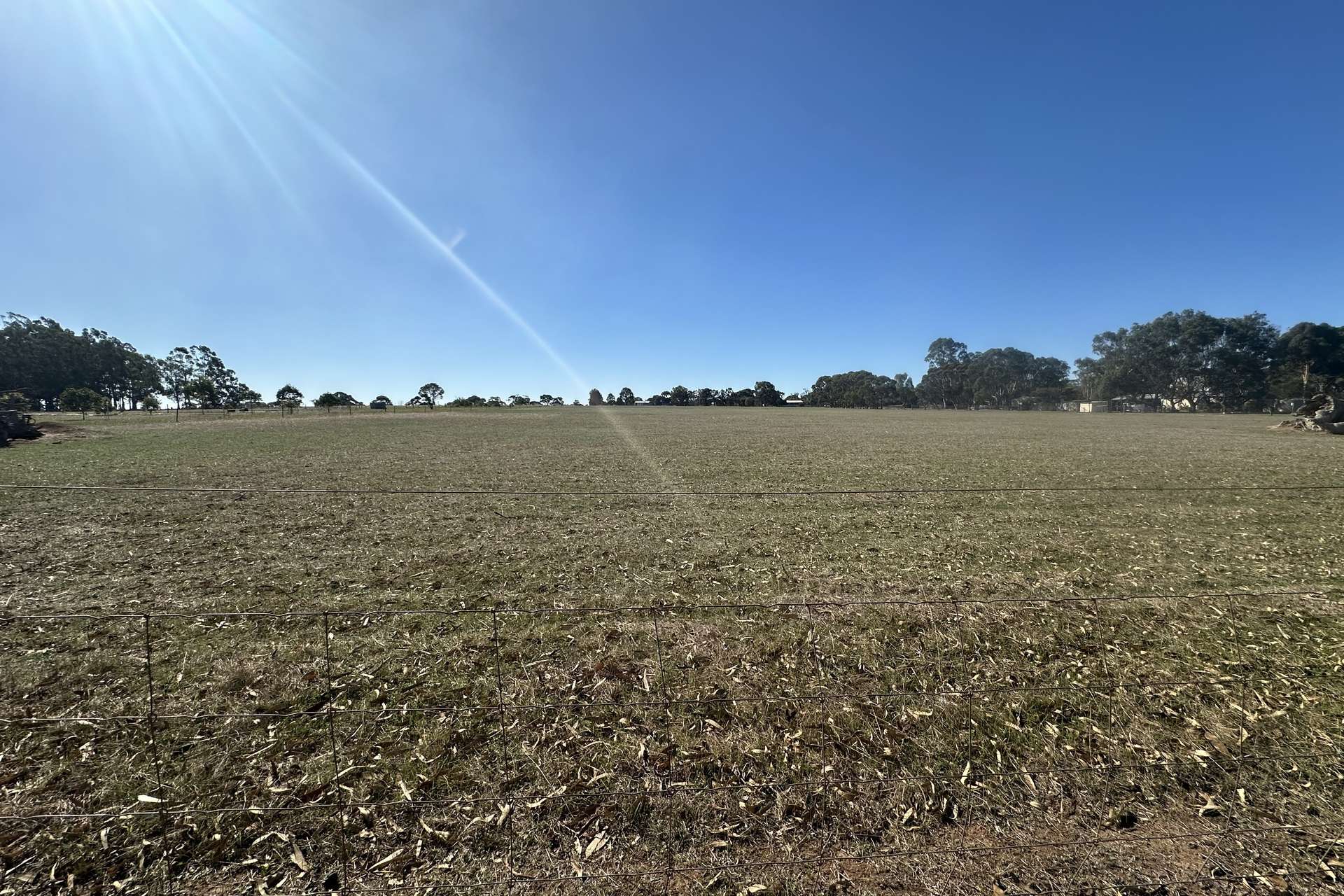 Lot 431,  Nelson Street, Broomehill Village For Sale by Farmbuy.com - image 9