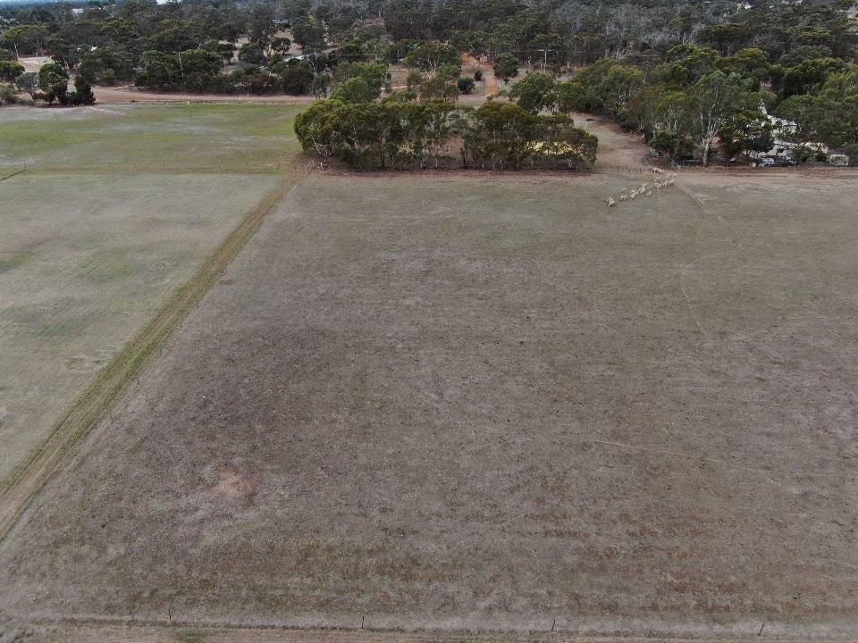 Lot 431,  Nelson Street, Broomehill Village For Sale by Farmbuy.com - image 6