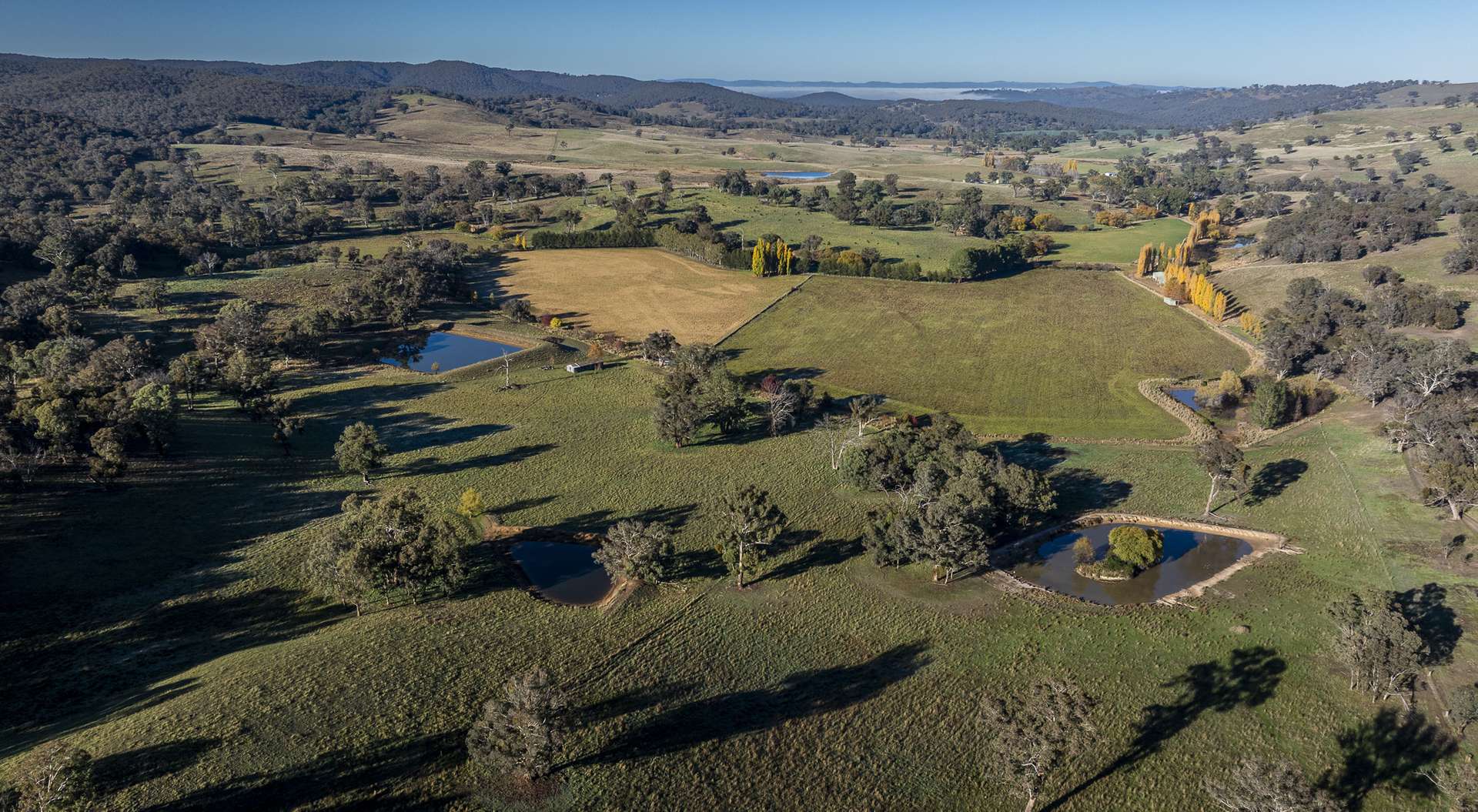 'The Grove' 635 Grove Creek Road, Trunkey Creek Auction by Farmbuy.com - image 4