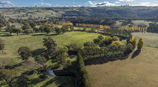 Farm Auction - NSW - Trunkey Creek - 2795 - 'The Grove' | Productive Central Tablelands Holding 