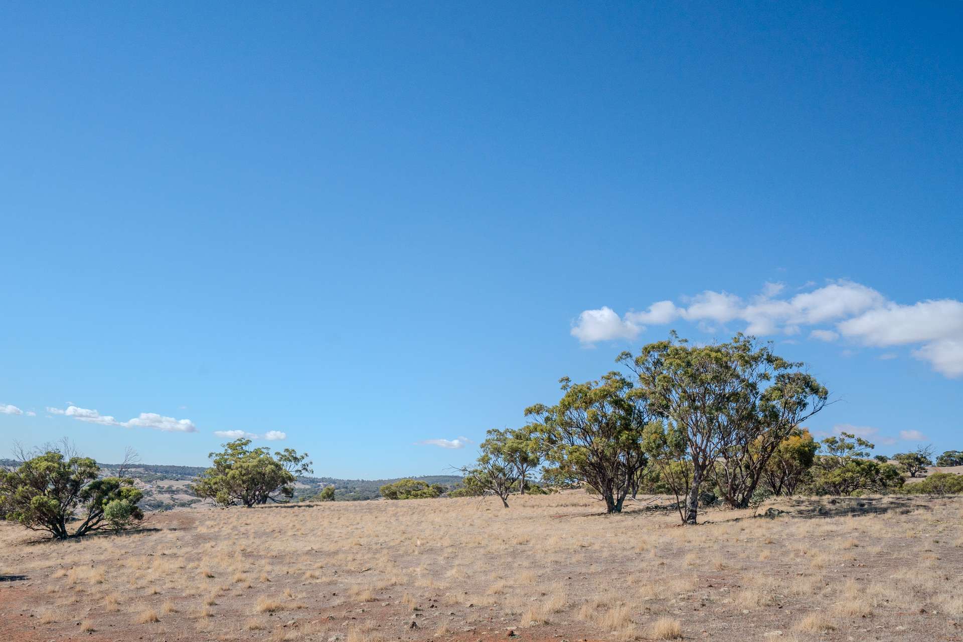 Toodyay For Sale by Farmbuy.com - image 4