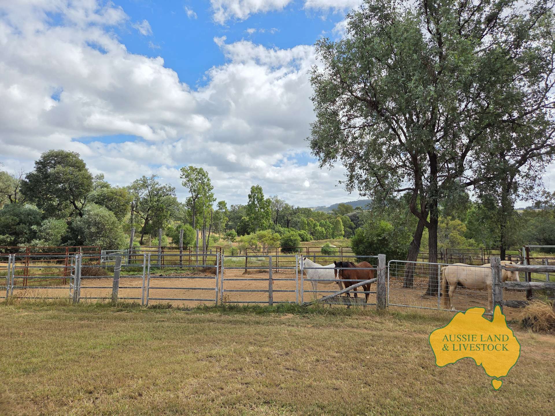 108 CATTLE CREEK ROAD, Mundowran For Sale by Farmbuy.com - image 4