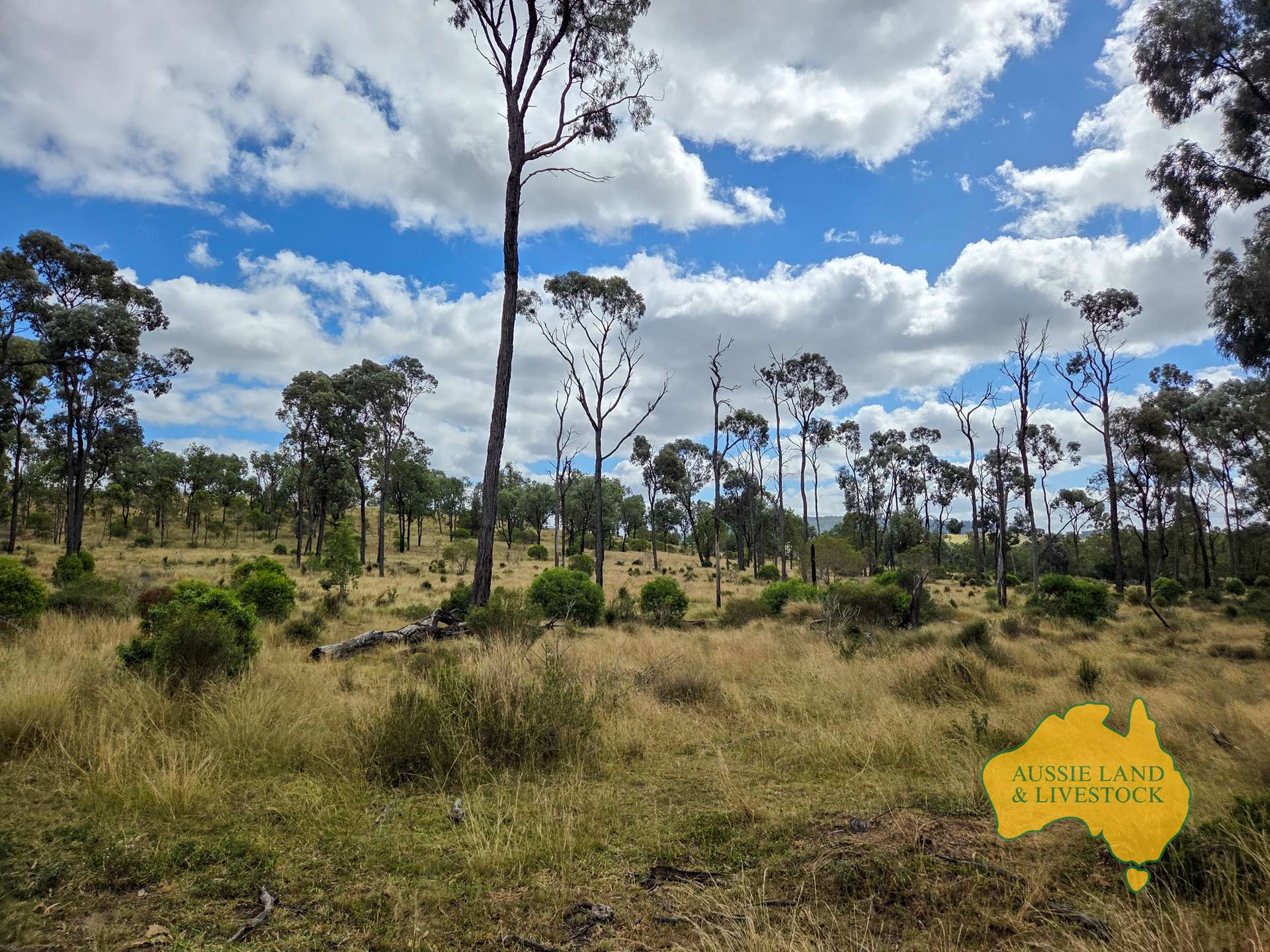 108 CATTLE CREEK ROAD, Mundowran For Sale by Farmbuy.com - image 18