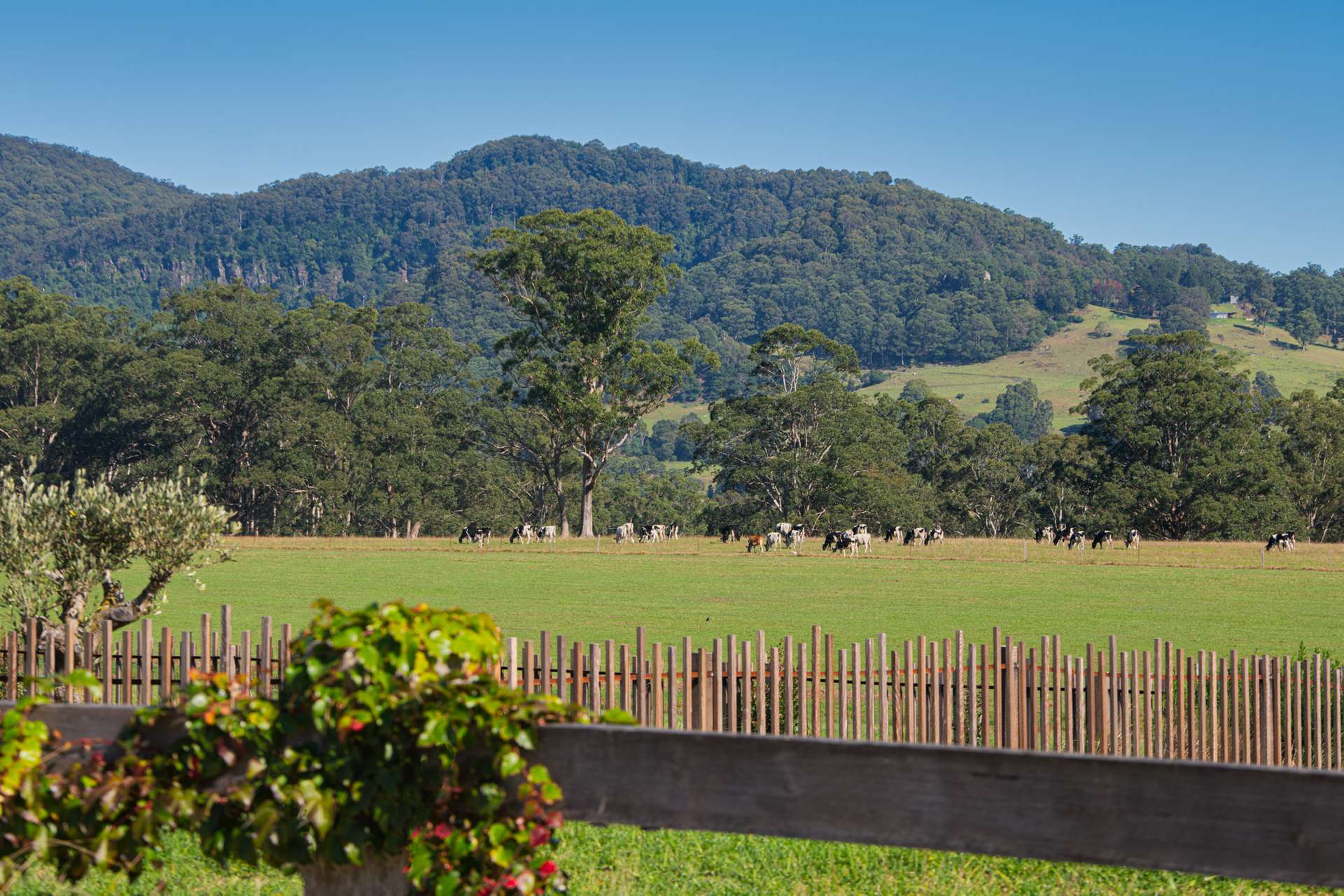 65D Glenmurray Road, Kangaroo Valley For Sale by Farmbuy.com - image 4