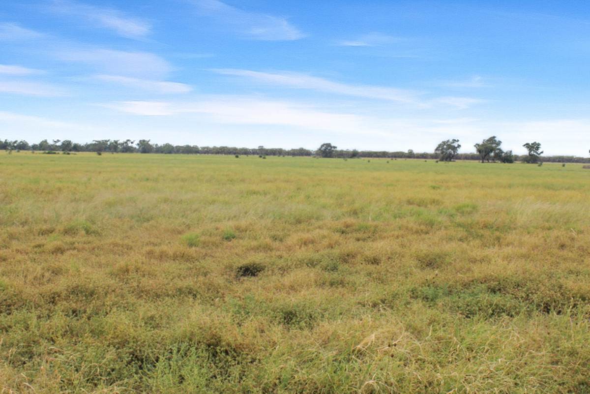 Amaroo Drive, Moree For Sale by Farmbuy.com - image 2