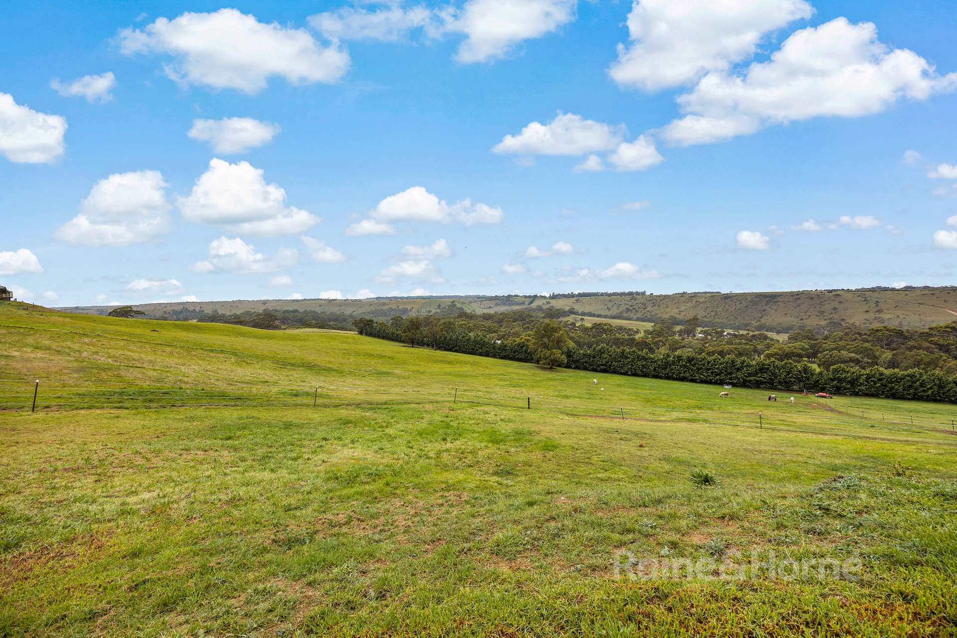 450 Wildwood Road, Wildwood For Sale by Farmbuy.com - image 20