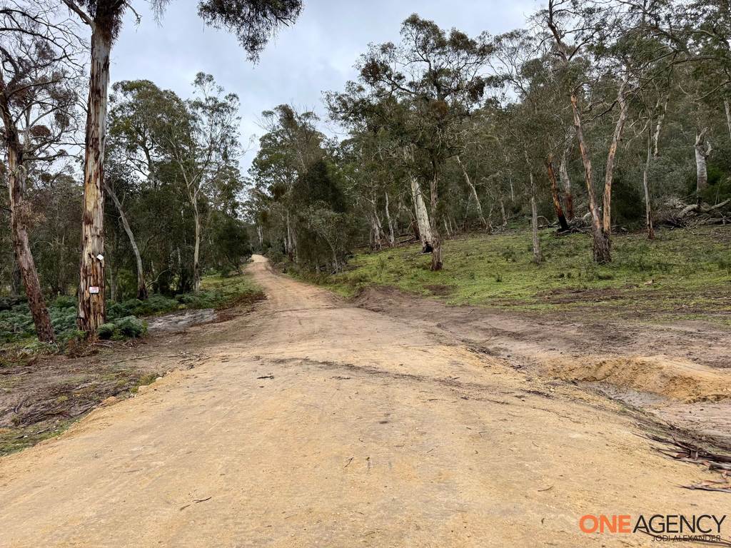 Lot 67&comma; 1830 Dangelong Road, Kybeyan NSW 2631