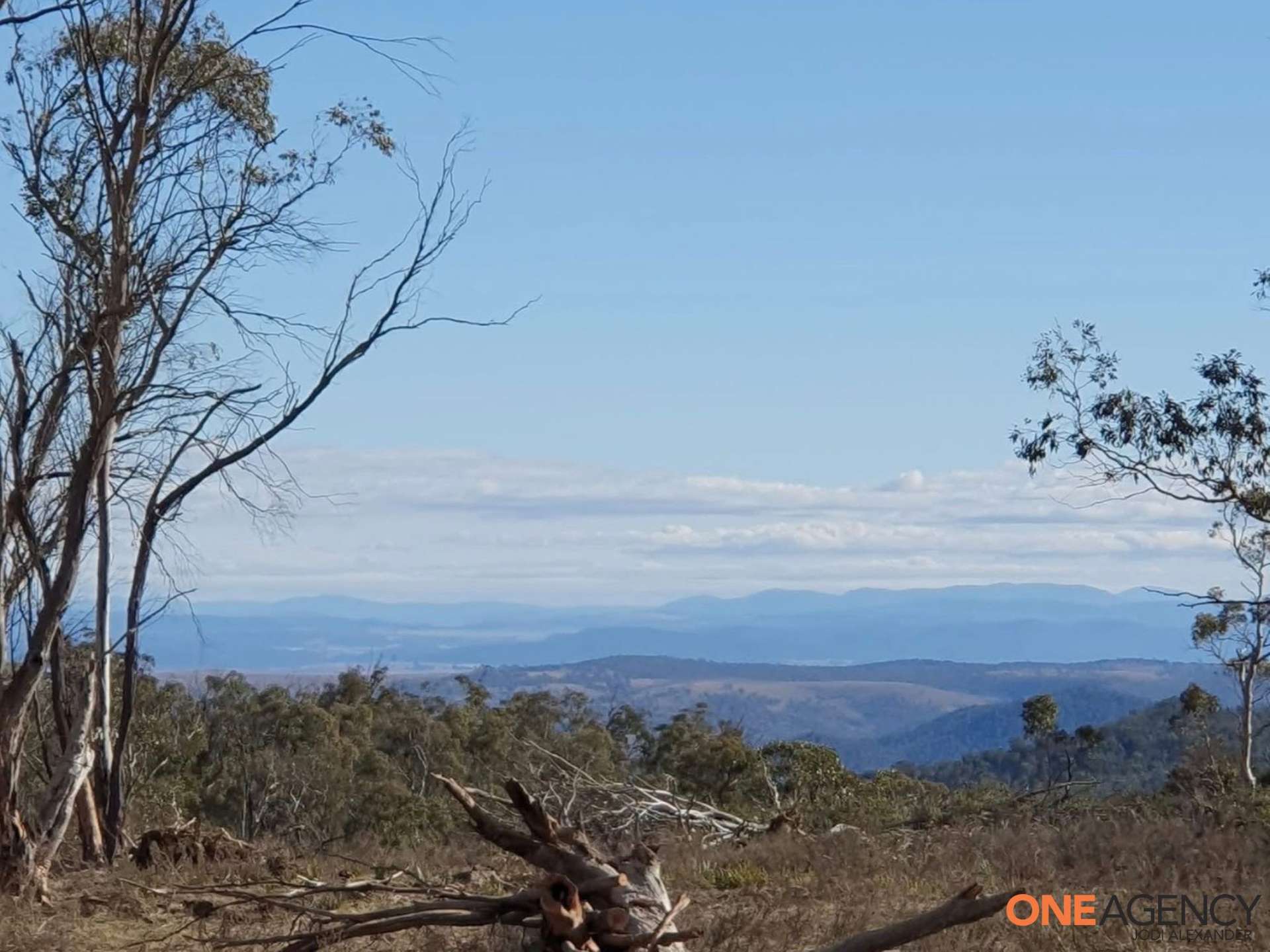 Lot 67, 1830 Dangelong Road, Kybeyan For Sale by Farmbuy.com - image 15