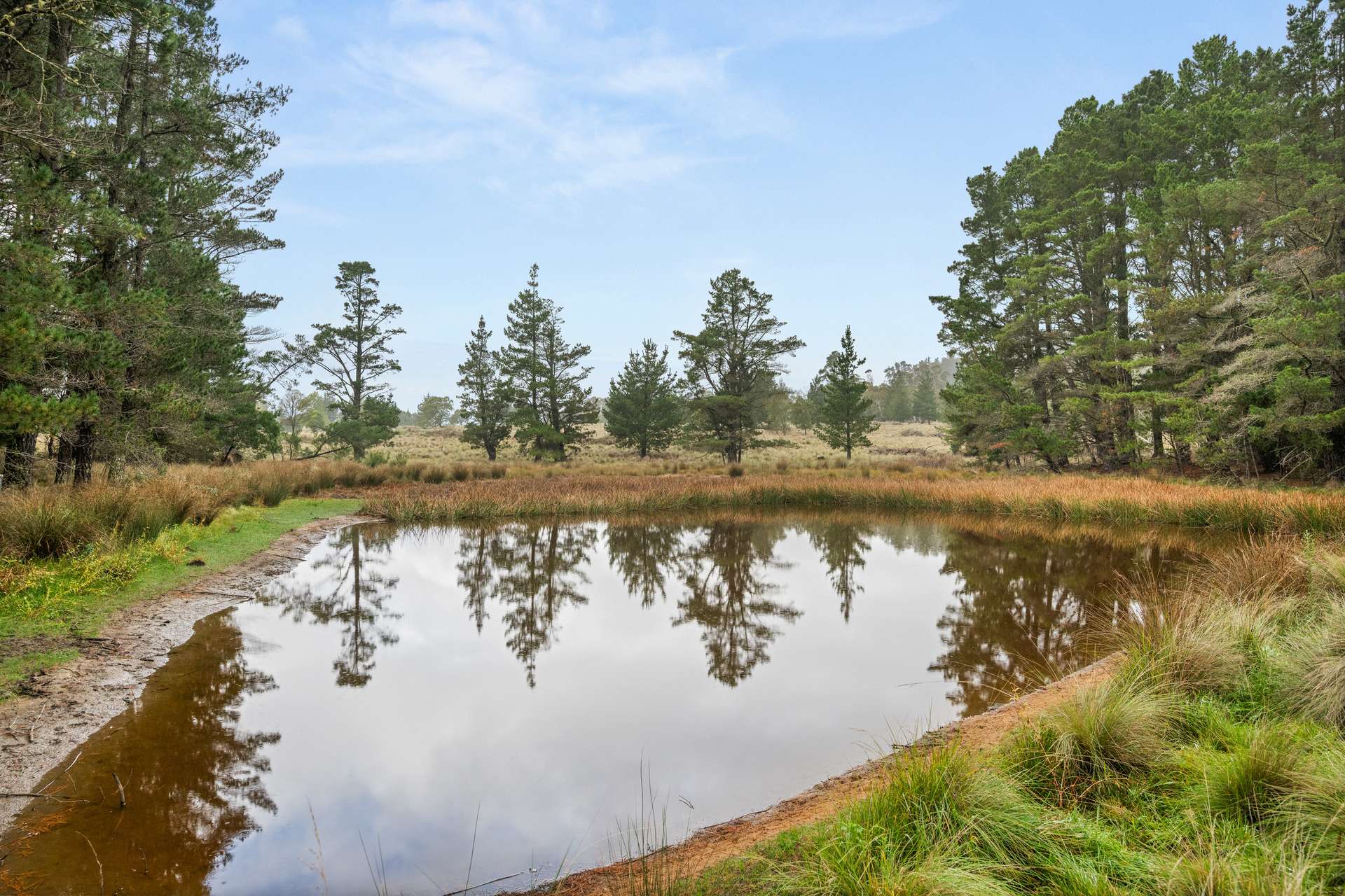 242 Kain Cross Road, Braidwood For Sale by Farmbuy.com - image 22