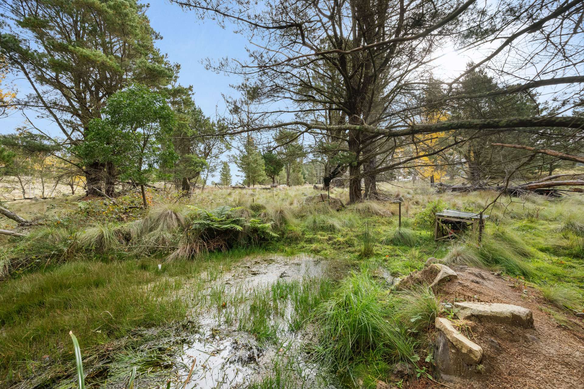242 Kain Cross Road, Braidwood For Sale by Farmbuy.com - image 25