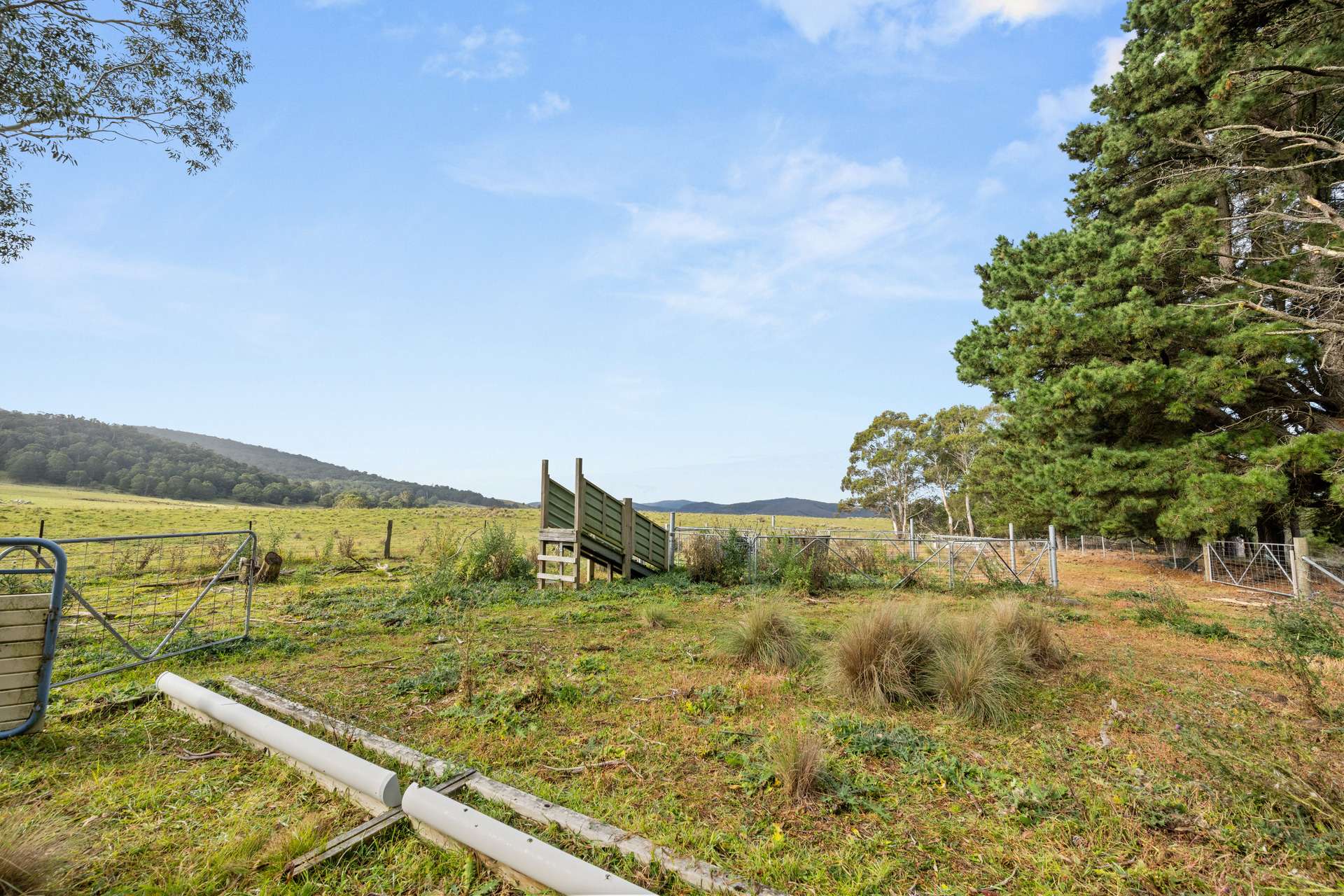 242 Kain Cross Road, Braidwood For Sale by Farmbuy.com - image 32