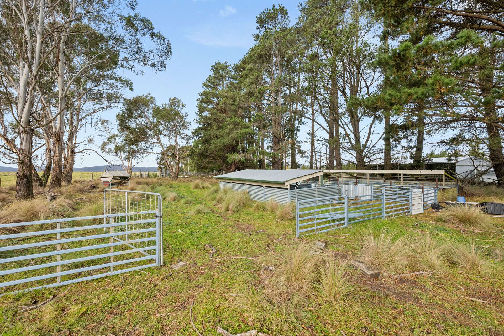 242 Kain Cross Road, Braidwood For Sale by Farmbuy.com - image 30