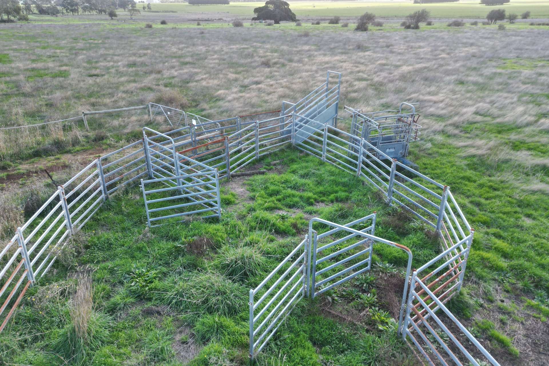 Warrnambool-Caramut Road, Winslow For Sale by Farmbuy.com - image 3