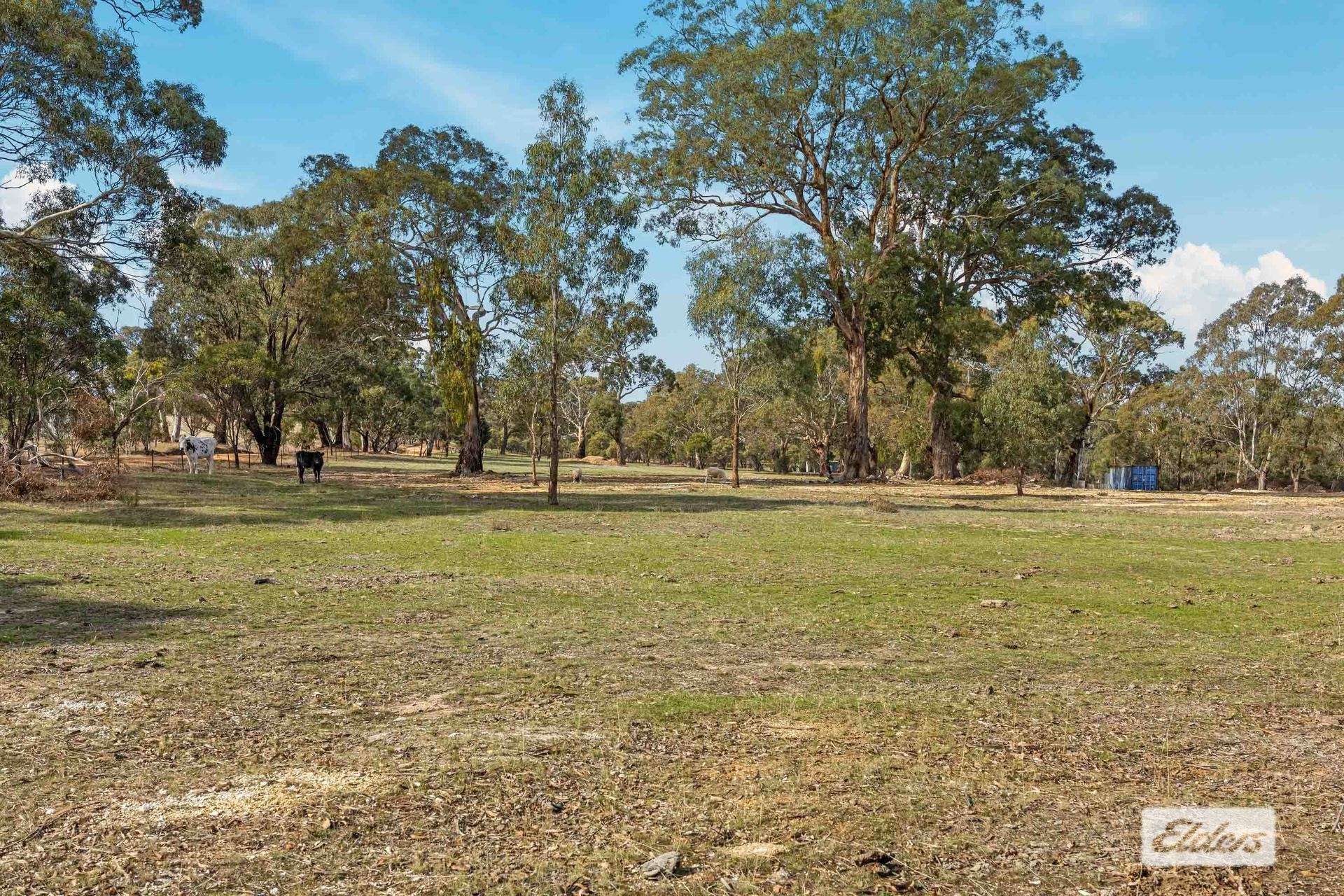 Lot 12 & 12A,  Deenicull Creek Road, Cathcart For Sale by Farmbuy.com - image 8