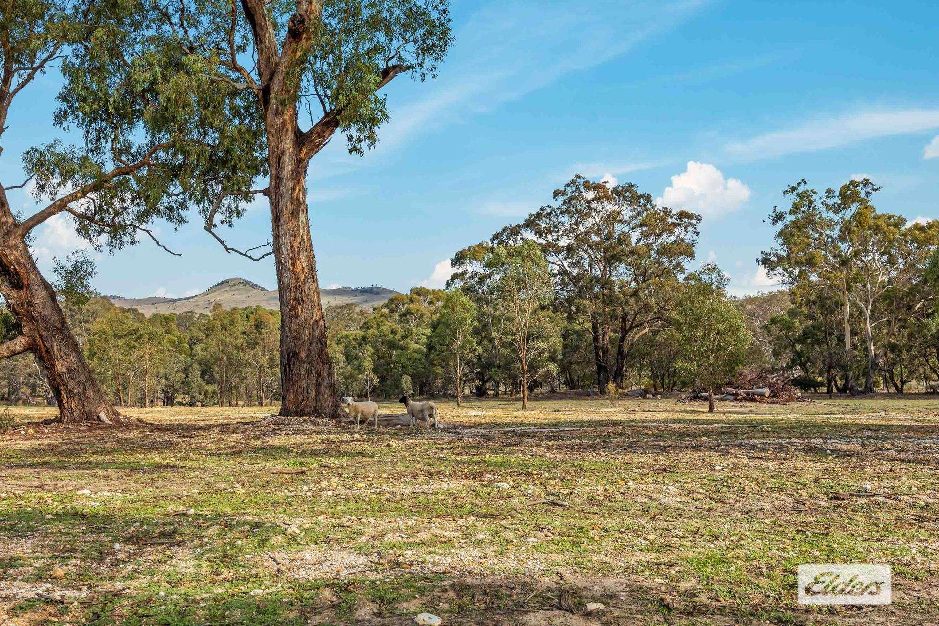 Lot 12 & 12A,  Deenicull Creek Road, Cathcart For Sale by Farmbuy.com - image 9