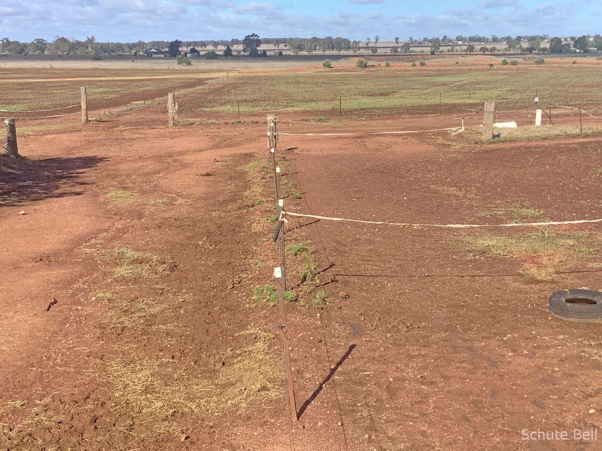 1238 Tomingley Rd, Narromine Auction by Farmbuy.com - image 12