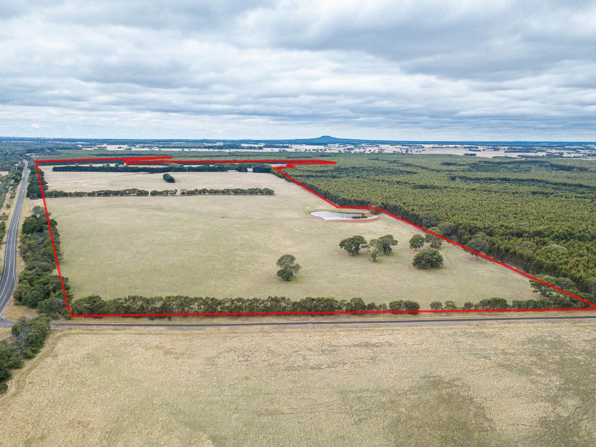 6854 Henty Highway, Branxholme For Sale by Farmbuy.com - image 2