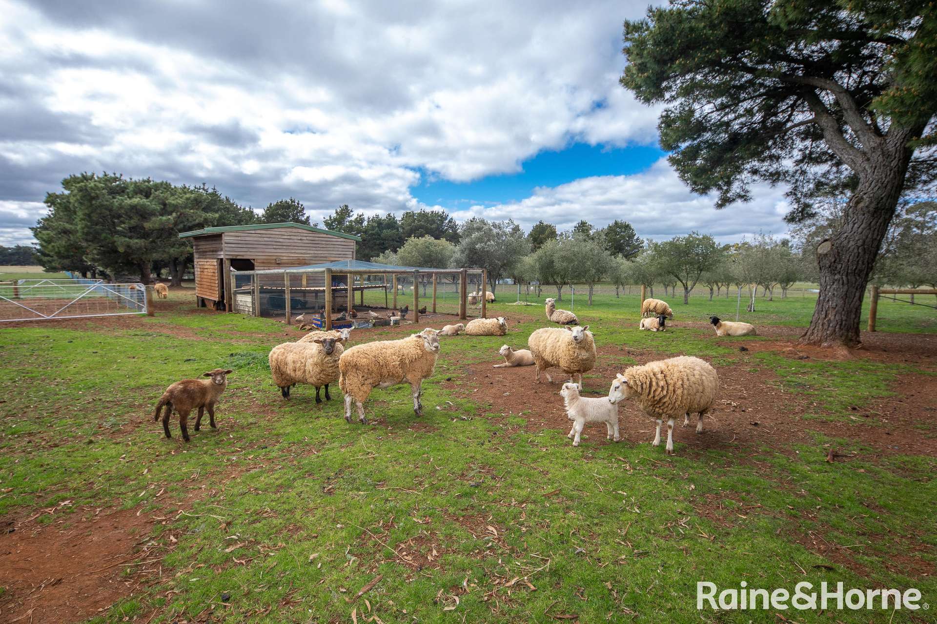 568 Chanters Lane, Tylden For Sale by Farmbuy.com - image 15