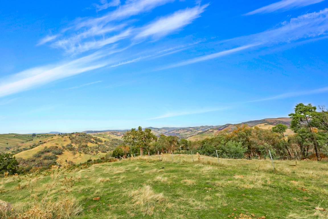Lot 3 Batlow Road, Tumut For Sale by Farmbuy.com - image 4