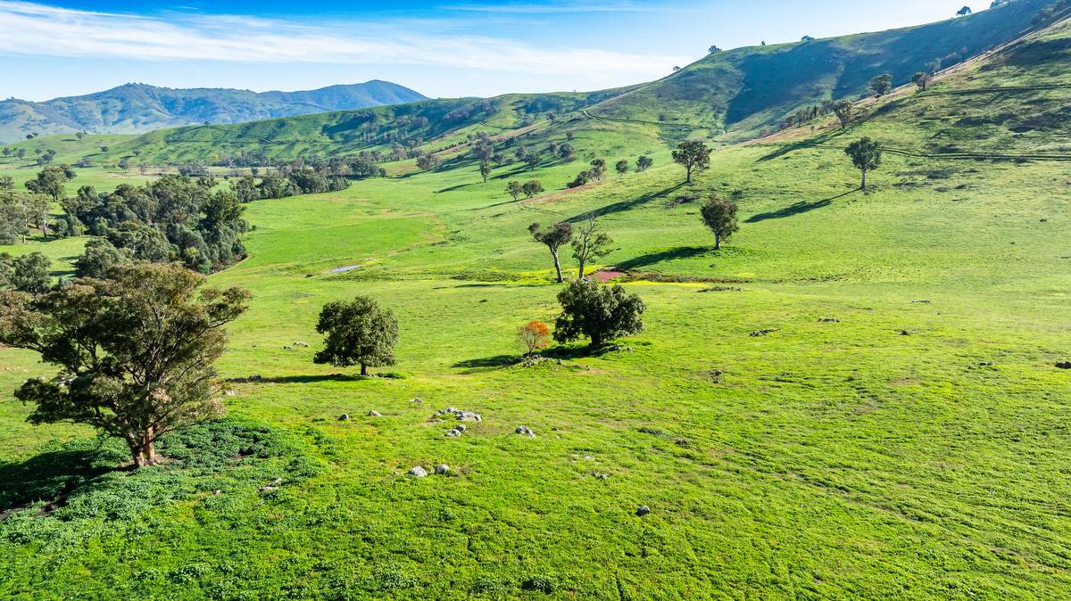 Koetong Creek Track, Bungil For Sale by Farmbuy.com - image 9