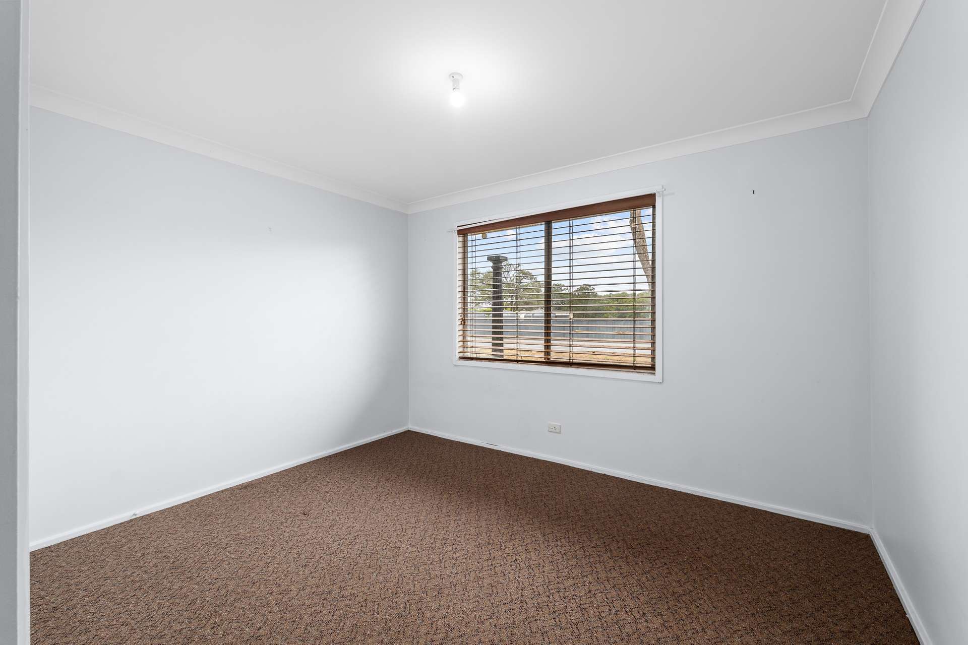 195 - 199 Lemon Tree Passage Road, Salt Ash Auction by Farmbuy.com - image 11