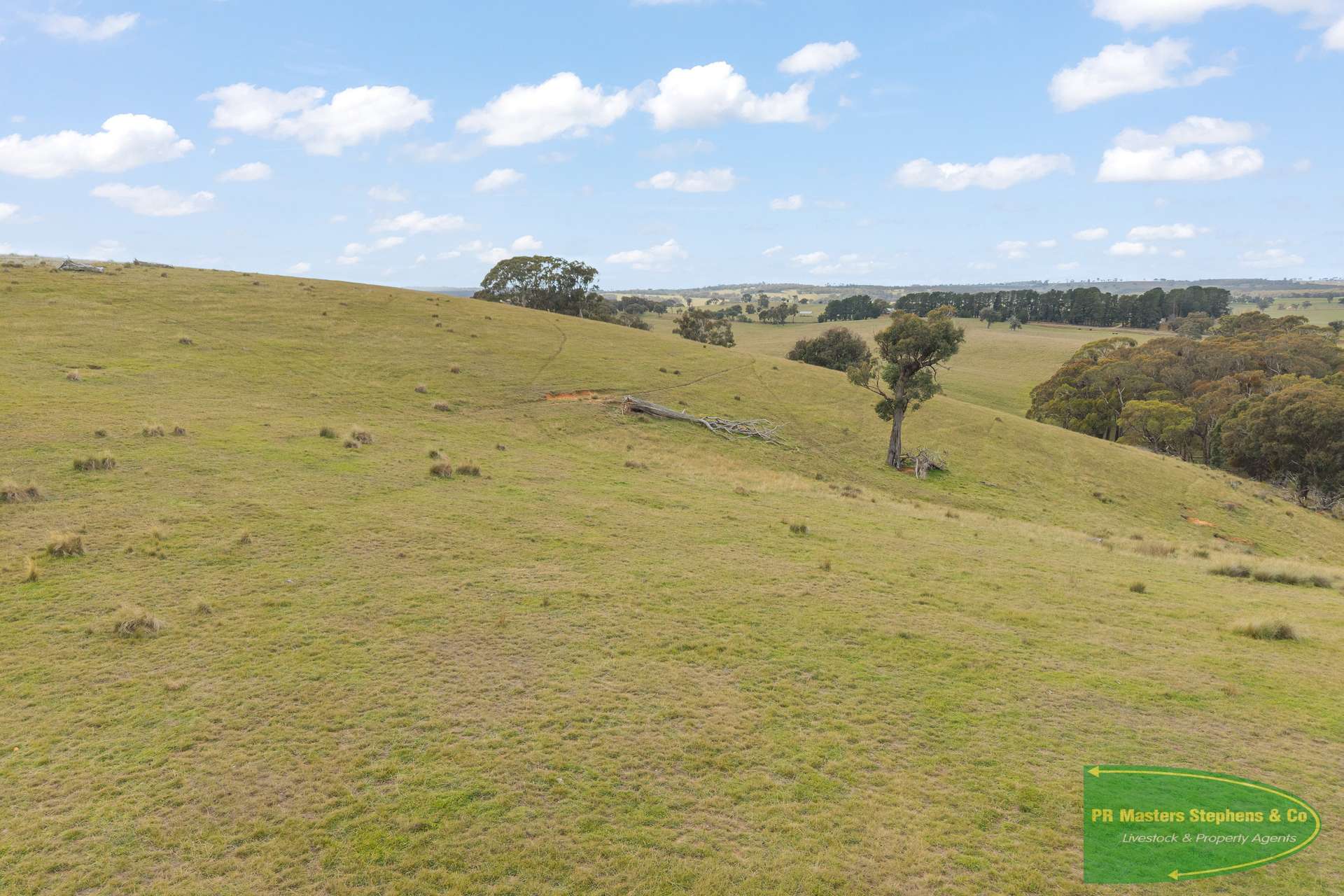 4616 Trunkey Road, Arkell For Sale by Farmbuy.com - image 6