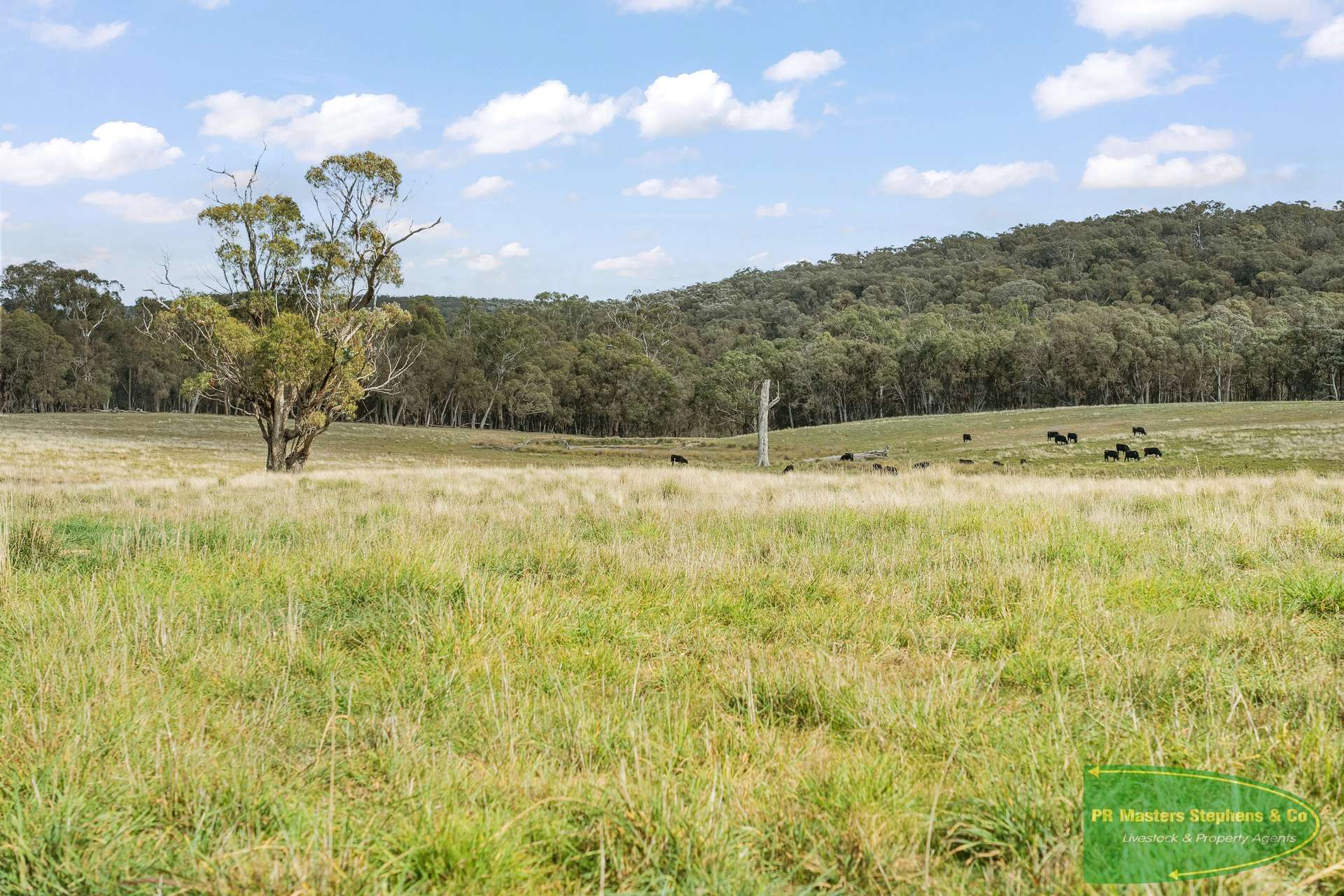 4616 Trunkey Road, Arkell For Sale by Farmbuy.com - image 26