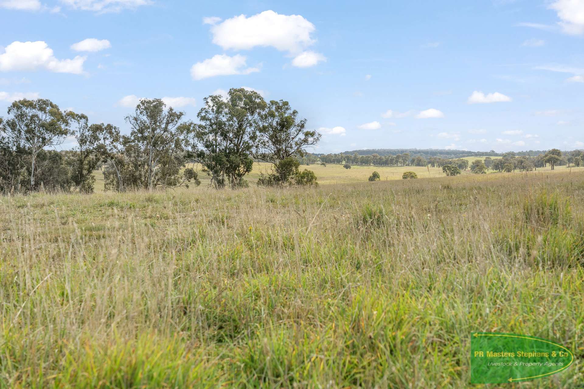 4616 Trunkey Road, Arkell For Sale by Farmbuy.com - image 25