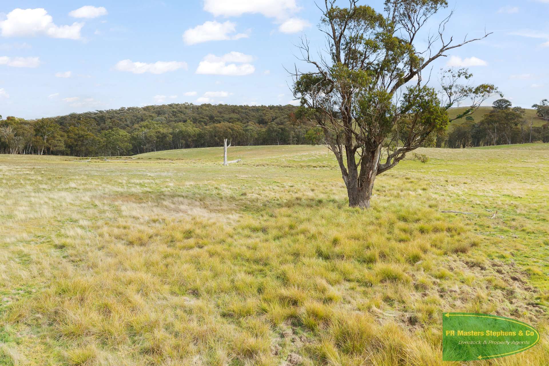 4616 Trunkey Road, Arkell For Sale by Farmbuy.com - image 9