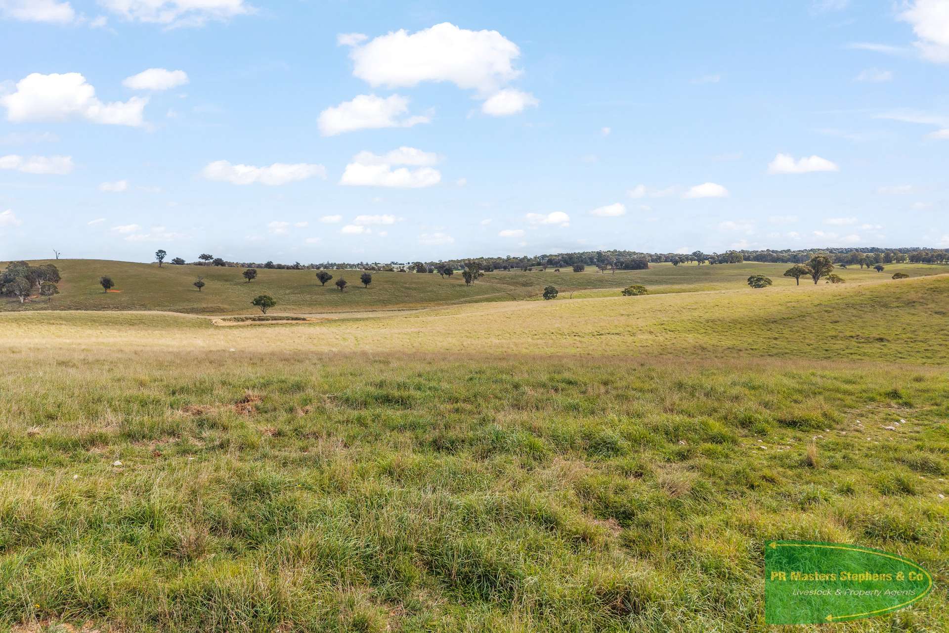4616 Trunkey Road, Arkell For Sale by Farmbuy.com - image 31
