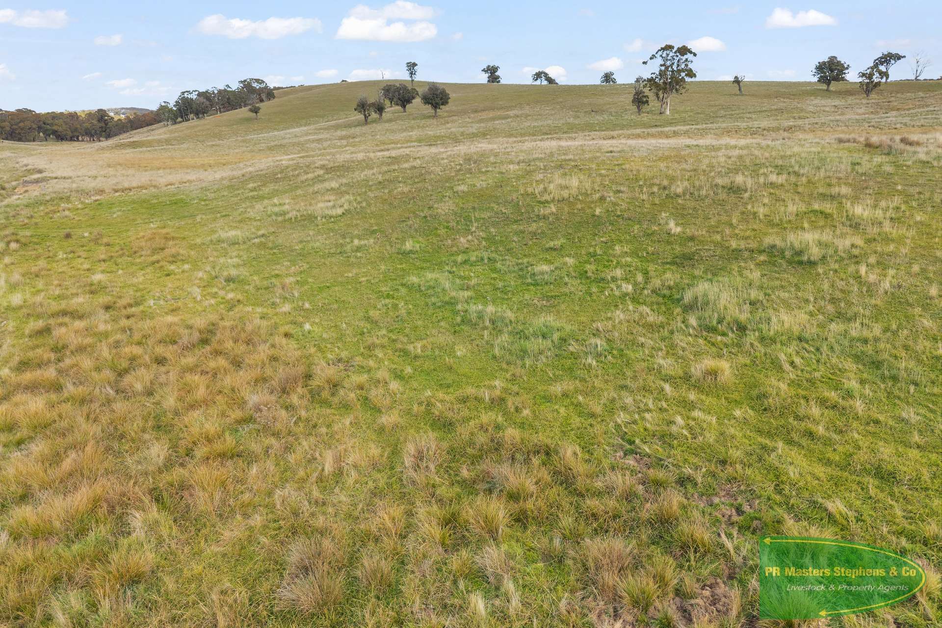 4616 Trunkey Road, Arkell For Sale by Farmbuy.com - image 32