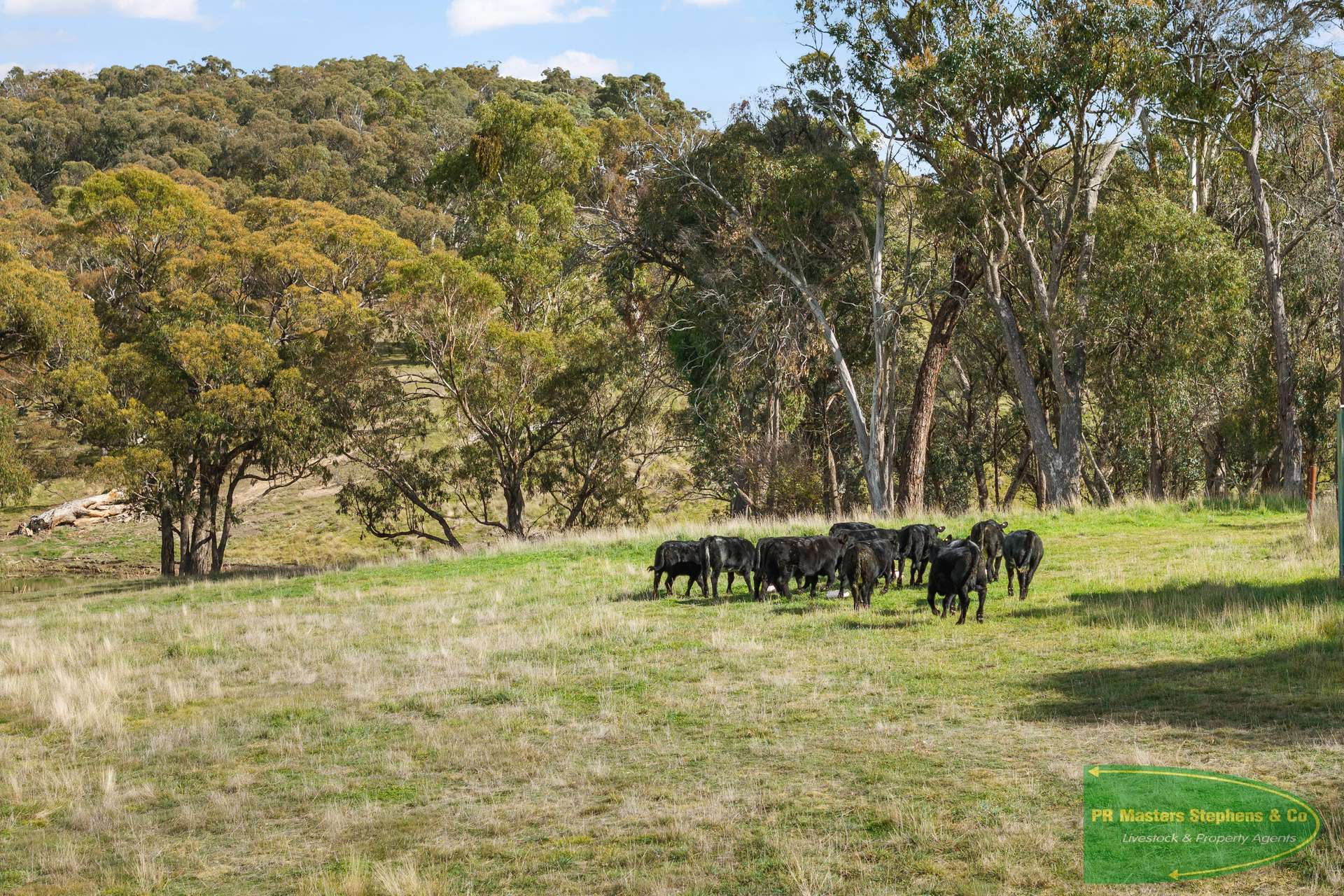 4616 Trunkey Road, Arkell For Sale by Farmbuy.com - image 12