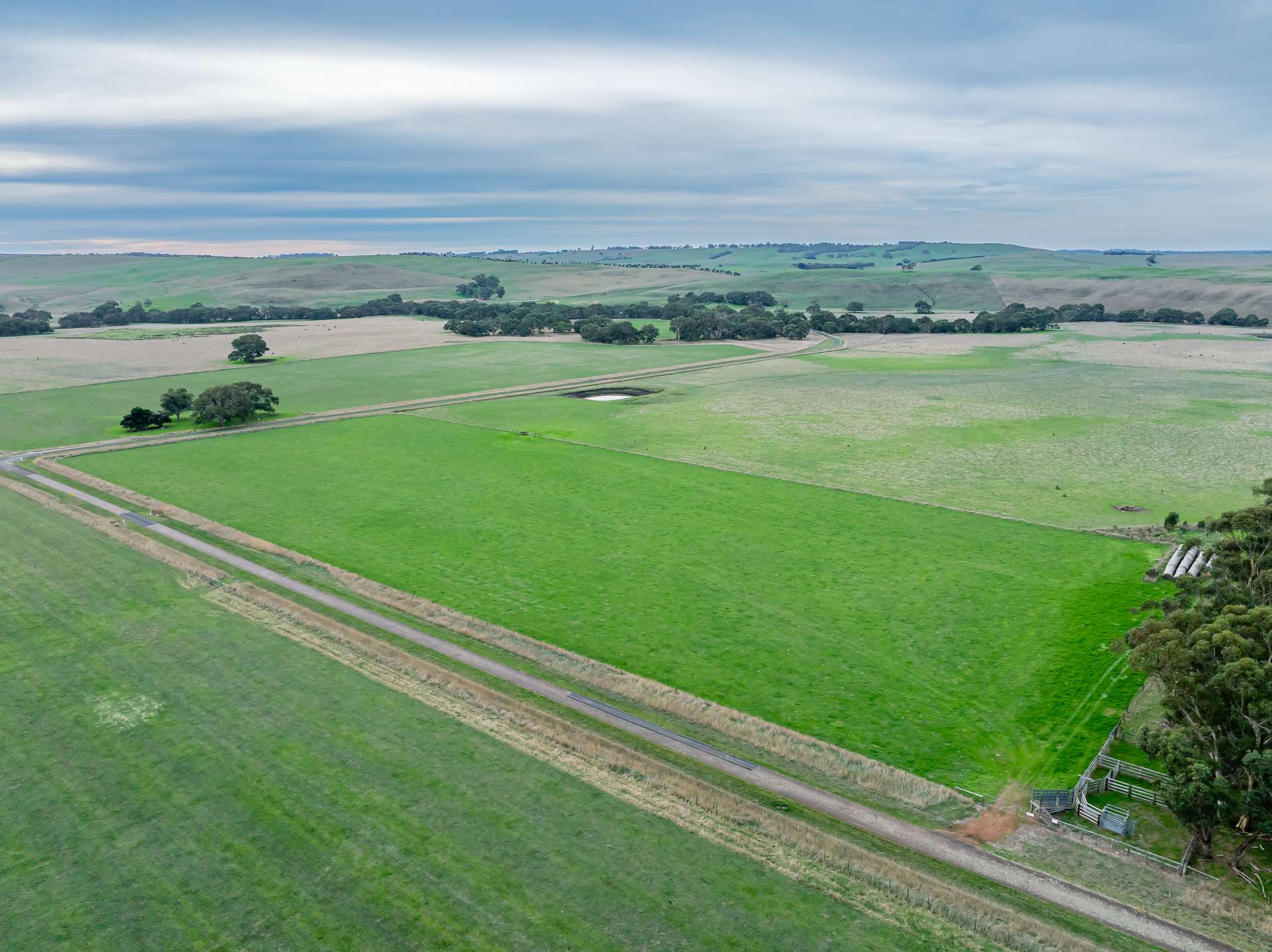 Lot 8 Nolans Road, Henty For Sale by Farmbuy.com - image 5