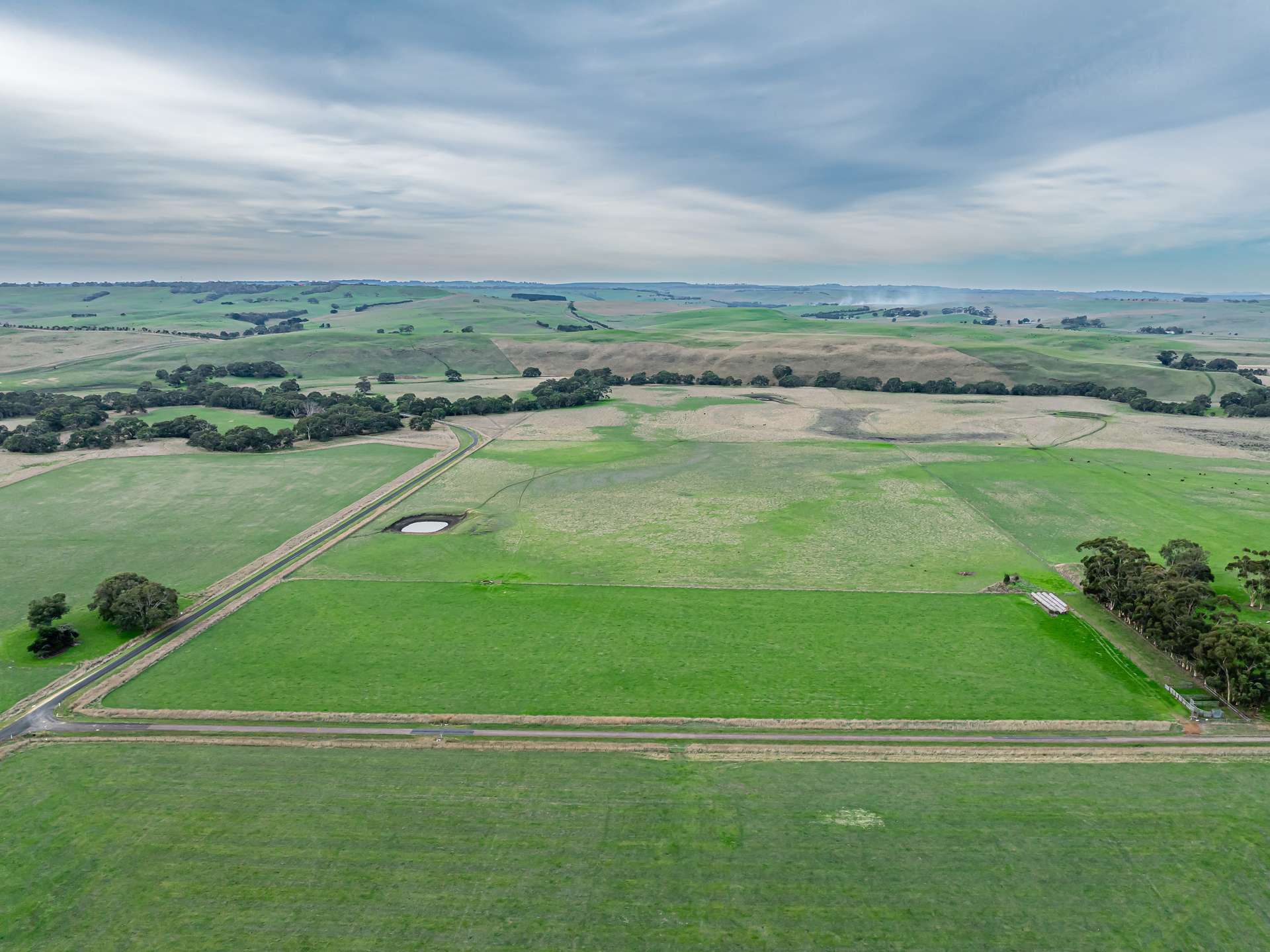 Lot 8 Nolans Road, Henty For Sale by Farmbuy.com - image 3