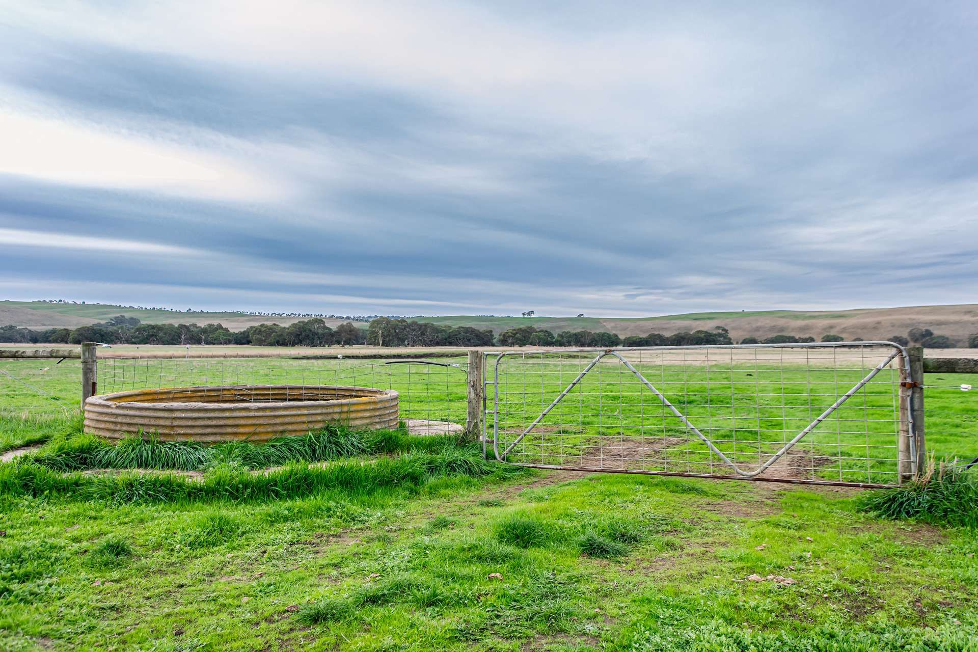 Lot 8 Nolans Road, Henty For Sale by Farmbuy.com - image 16