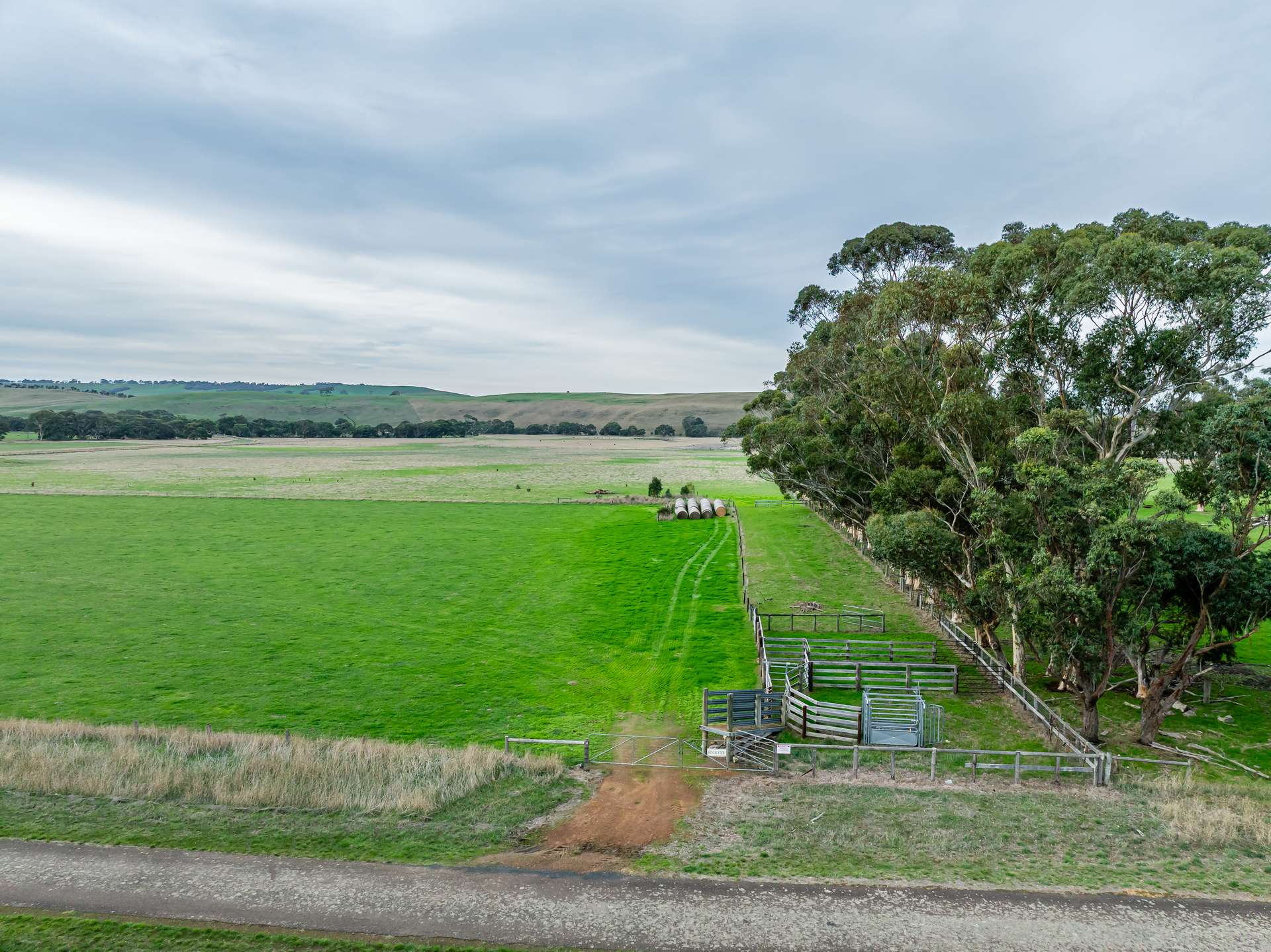 Lot 8 Nolans Road, Henty For Sale by Farmbuy.com - image 4