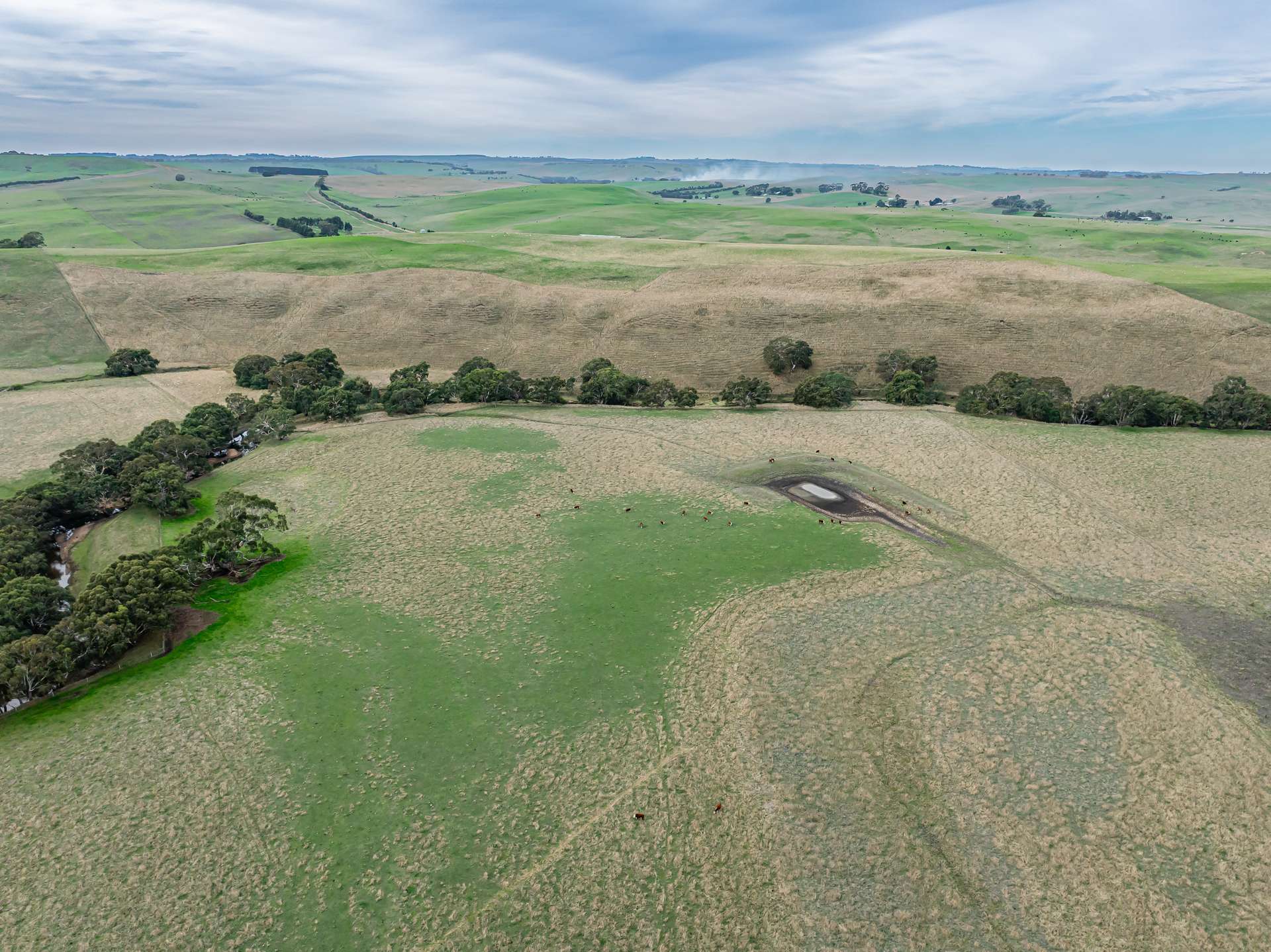 Lot 8 Nolans Road, Henty For Sale by Farmbuy.com - image 18