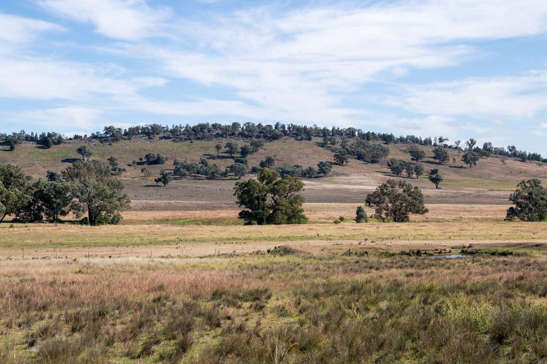 606 Sutherland Road, Koorawatha For Sale by Farmbuy.com - image 29