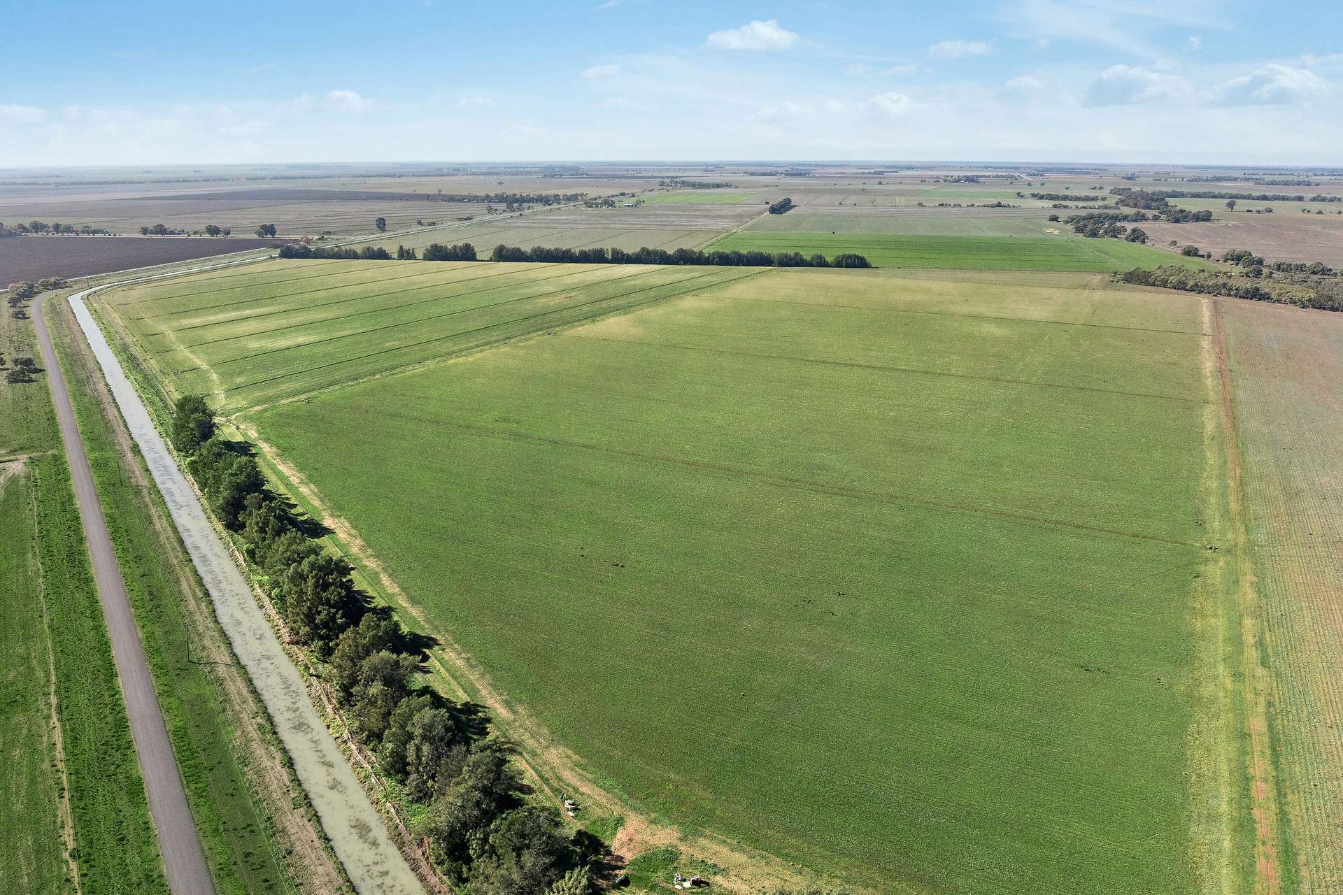 762 Channel Nine Road, Coleambally For Sale by Farmbuy.com - image 4
