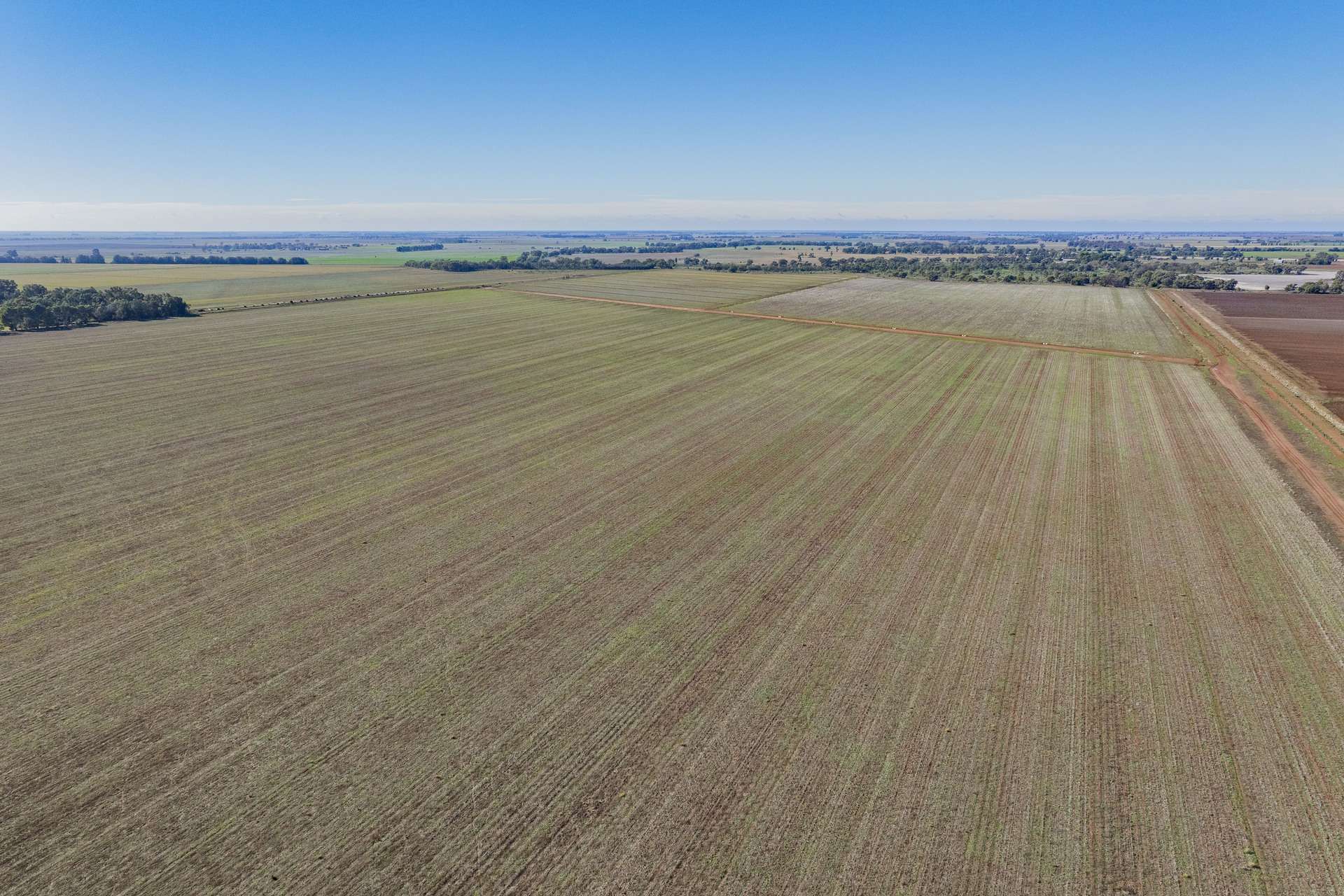 762 Channel Nine Road, Coleambally For Sale by Farmbuy.com - image 2
