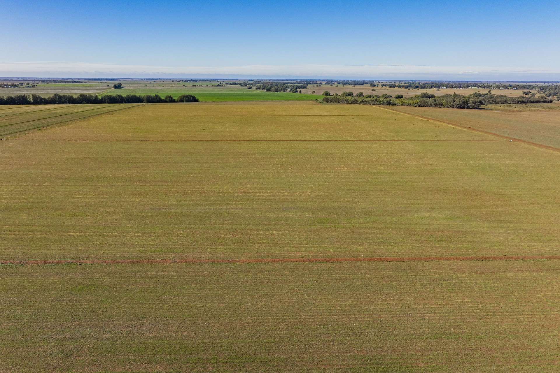 762 Channel Nine Road, Coleambally For Sale by Farmbuy.com - image 5