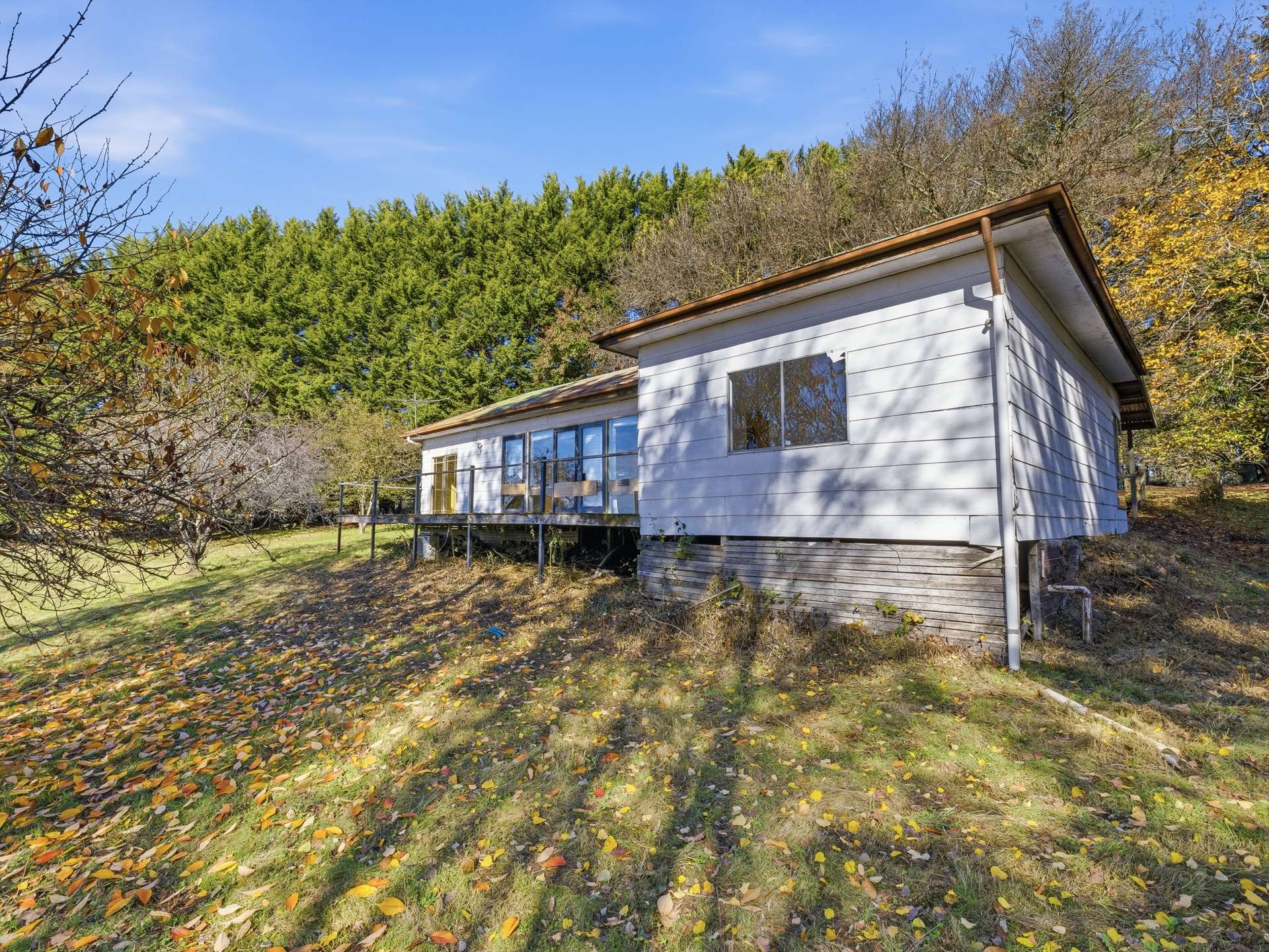 336 Burders Lane, Whitlands For Sale by Farmbuy.com - image 17