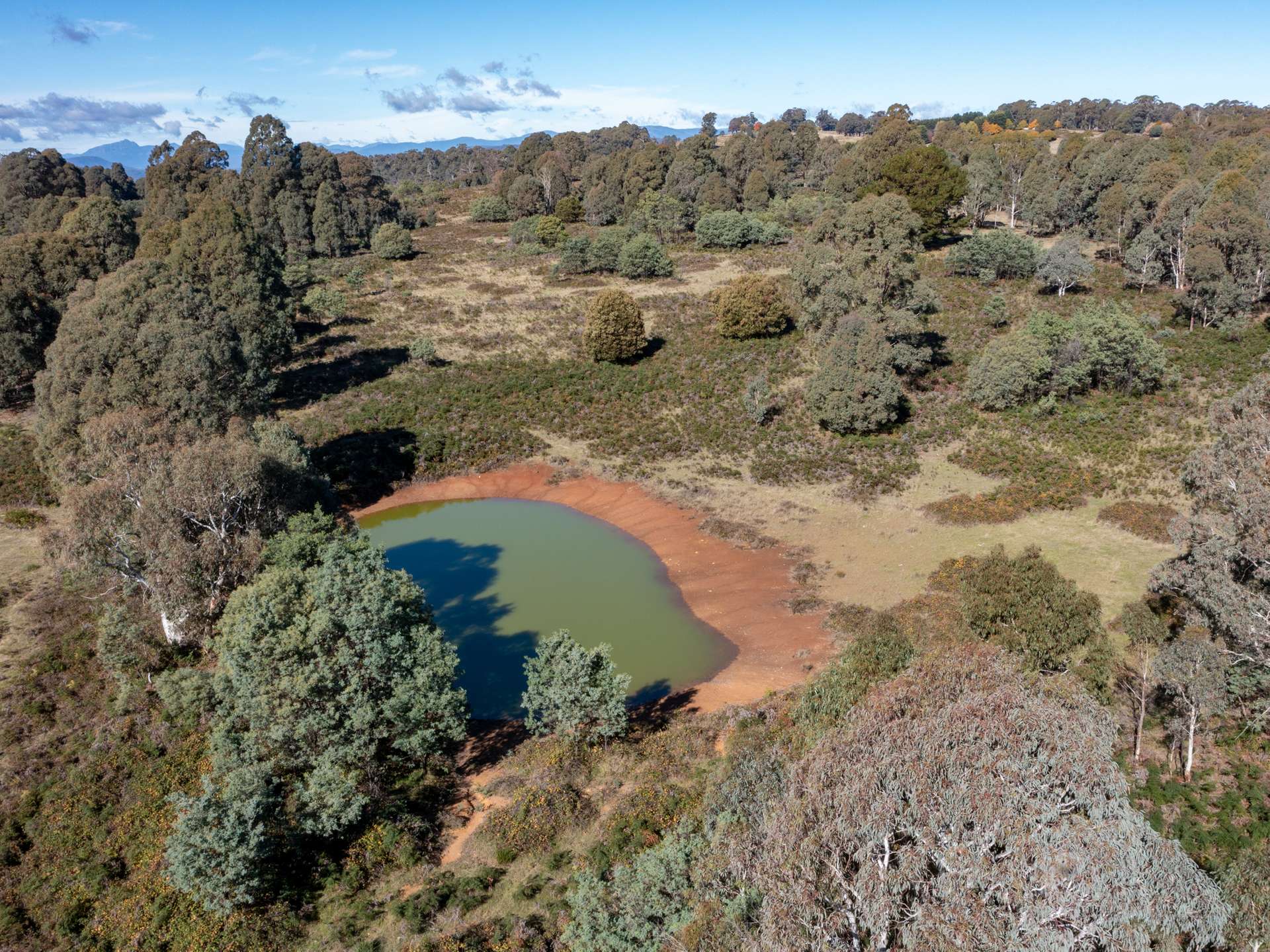 336 Burders Lane, Whitlands For Sale by Farmbuy.com - image 24