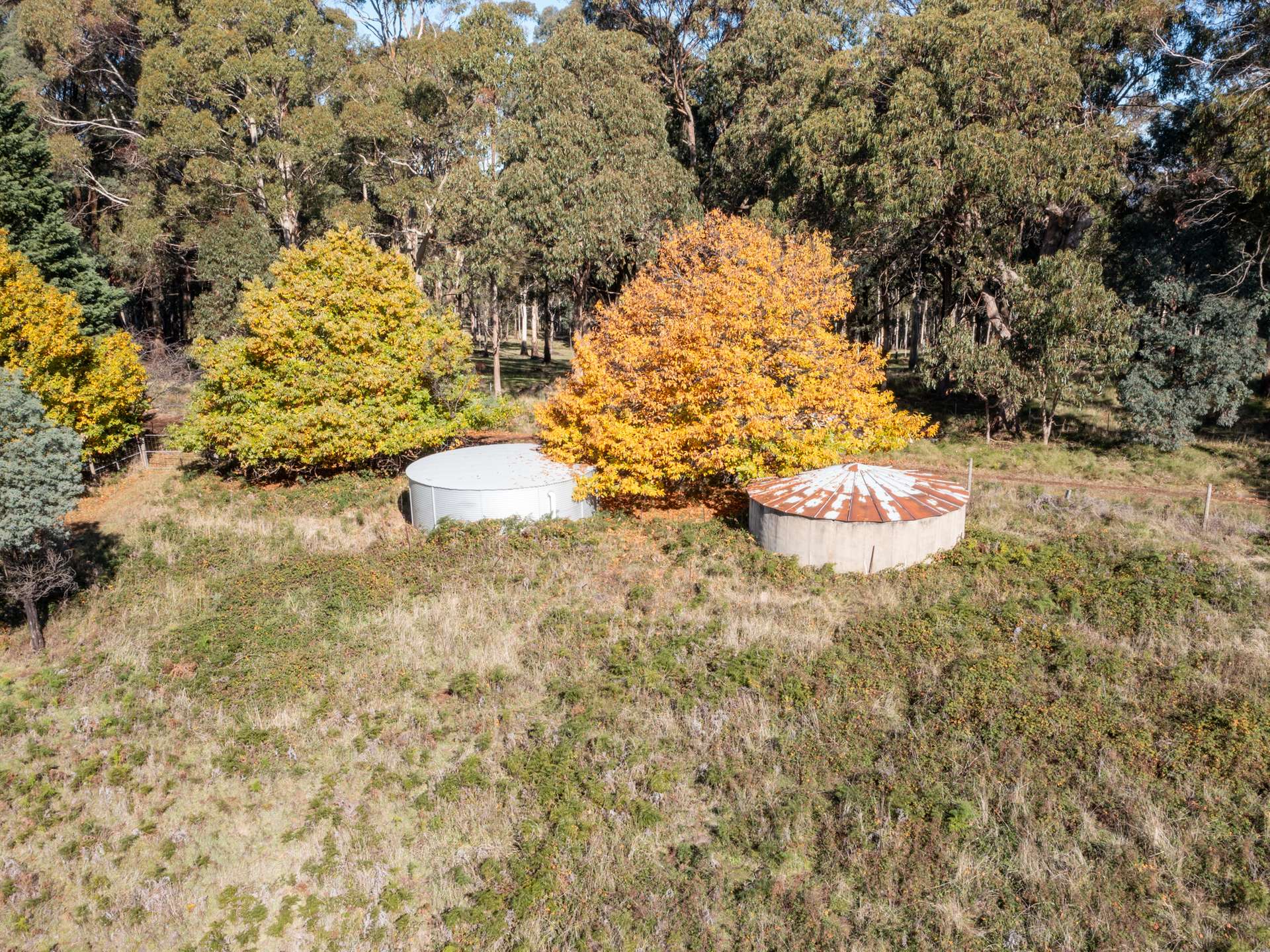 336 Burders Lane, Whitlands For Sale by Farmbuy.com - image 22