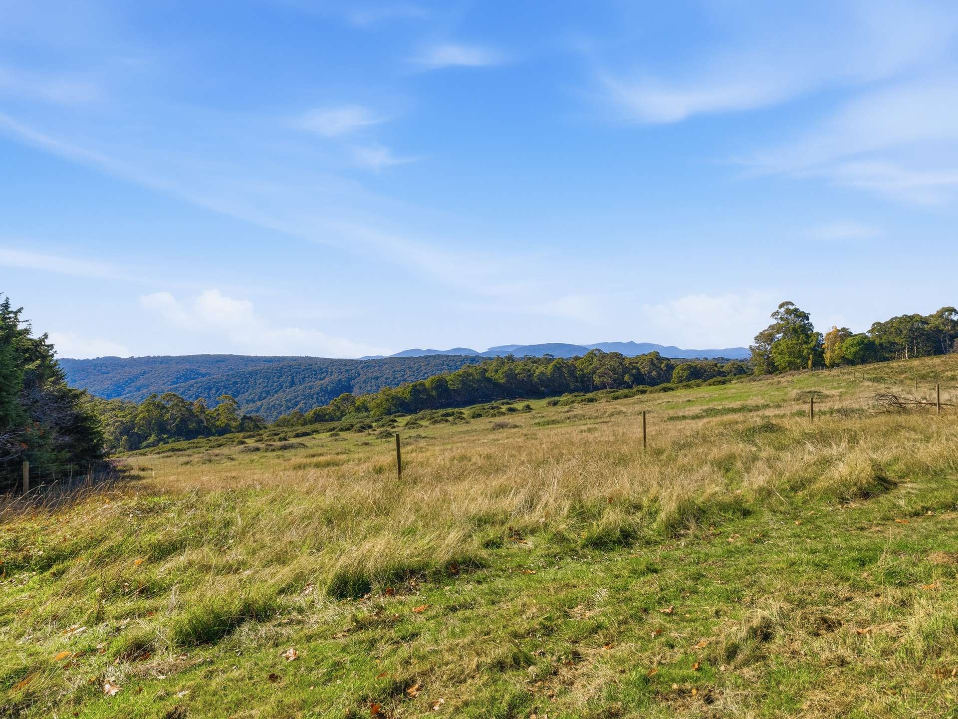 336 Burders Lane, Whitlands For Sale by Farmbuy.com - image 23