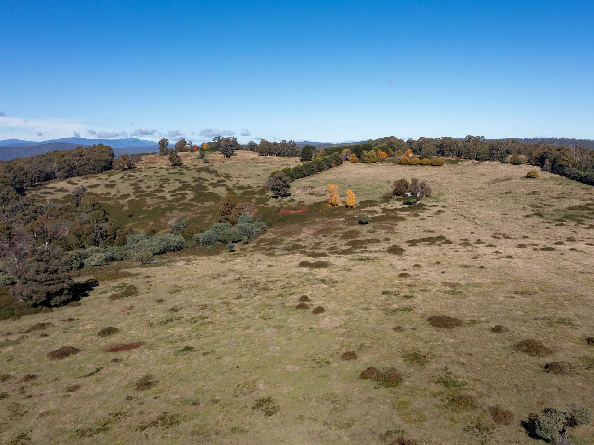 336 Burders Lane, Whitlands For Sale by Farmbuy.com - image 28